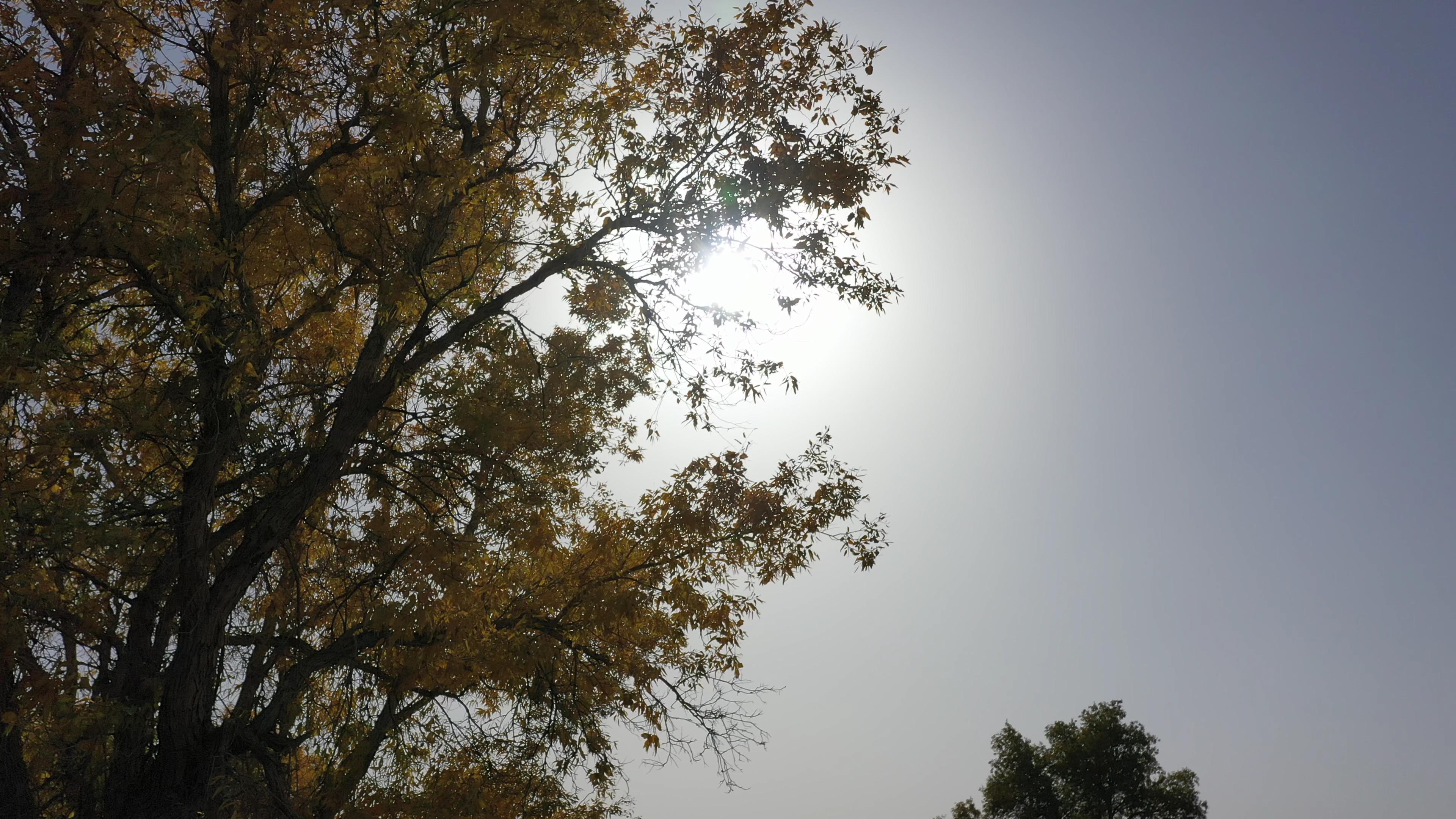 12月去那拉提旅游團_12月去那拉提旅游團多少錢