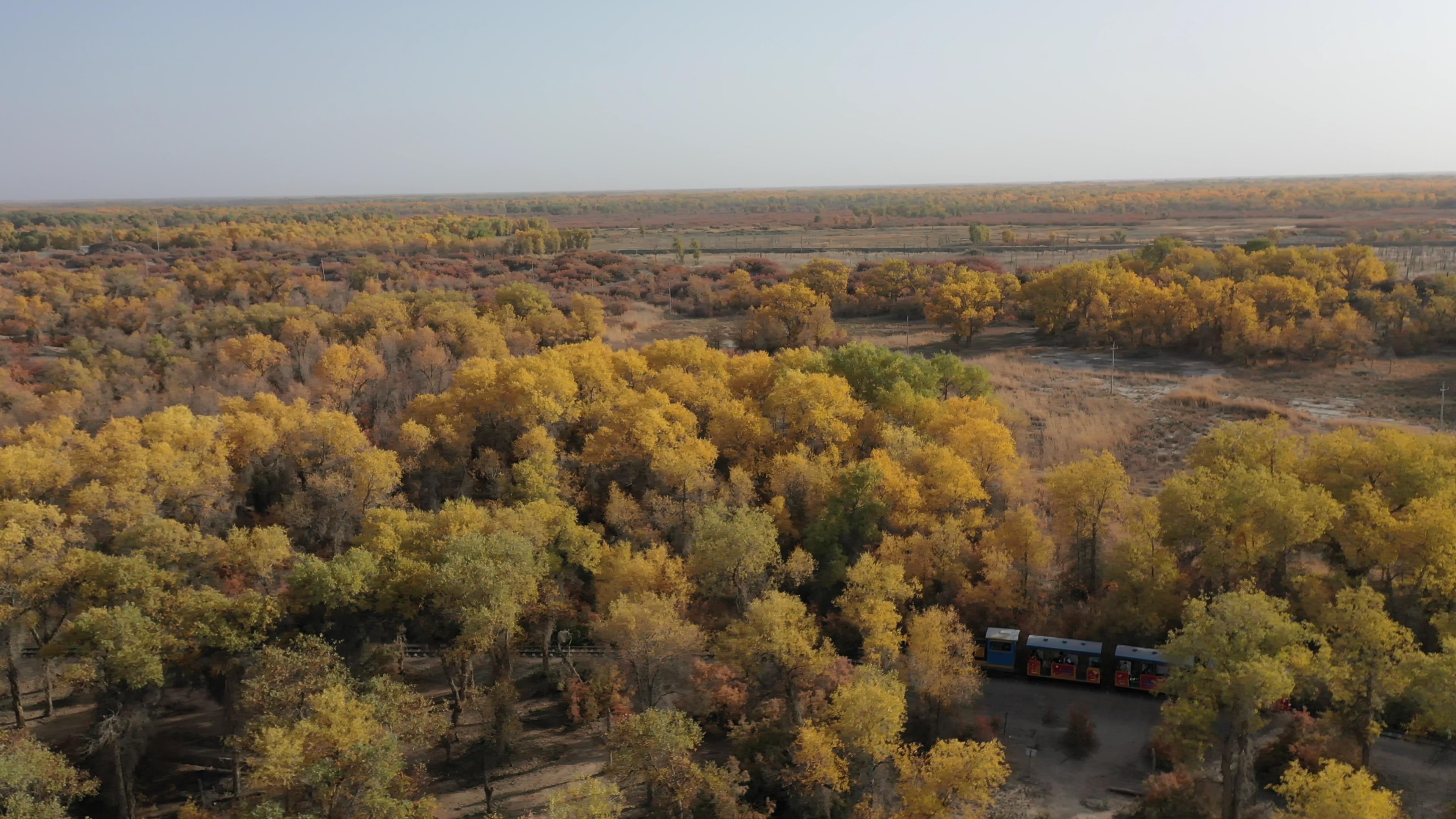 賽里木湖旅行跟團多少錢_賽里木湖旅游團