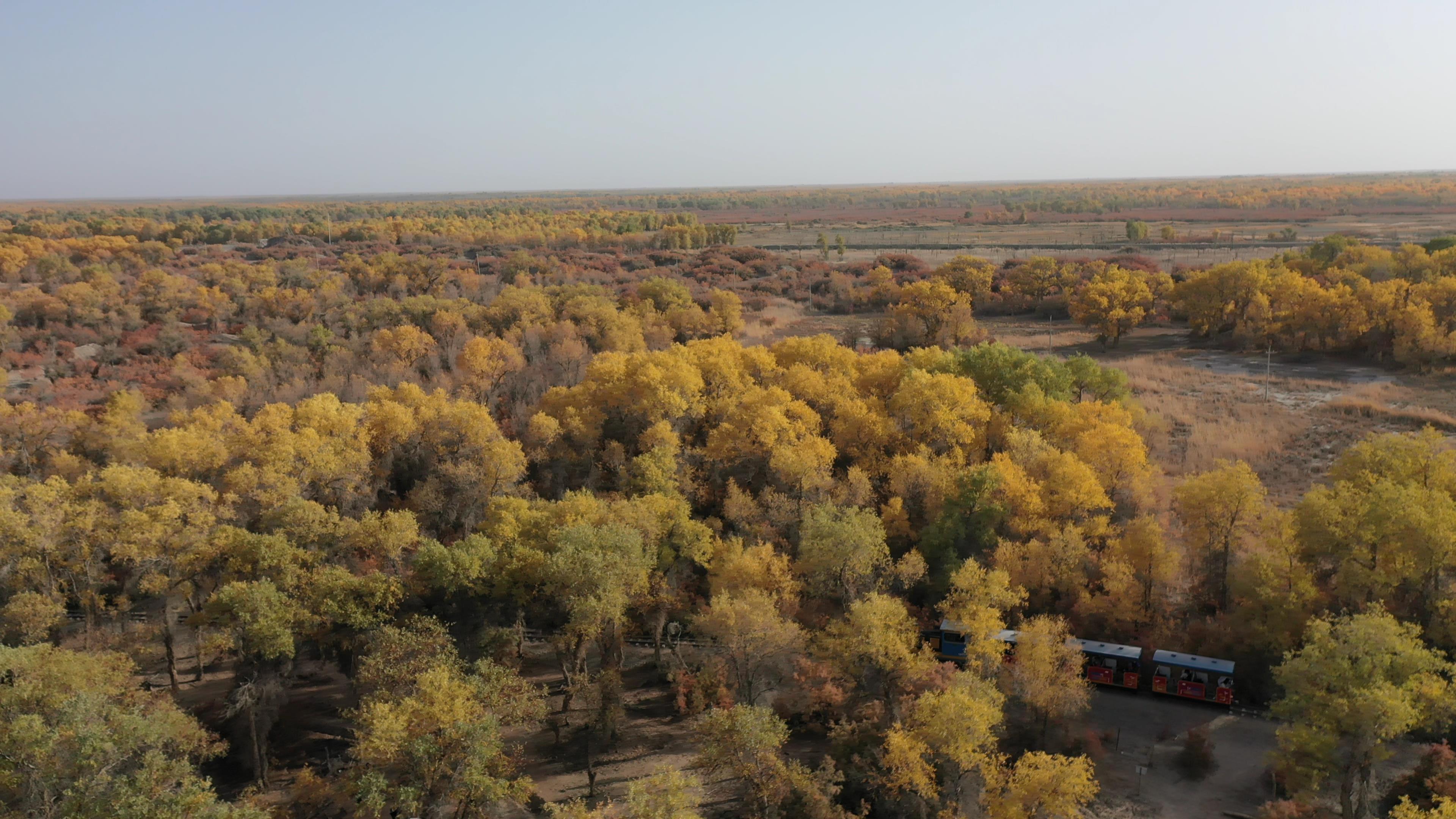 十一月底伊犁旅游價格_伊犁11月旅游