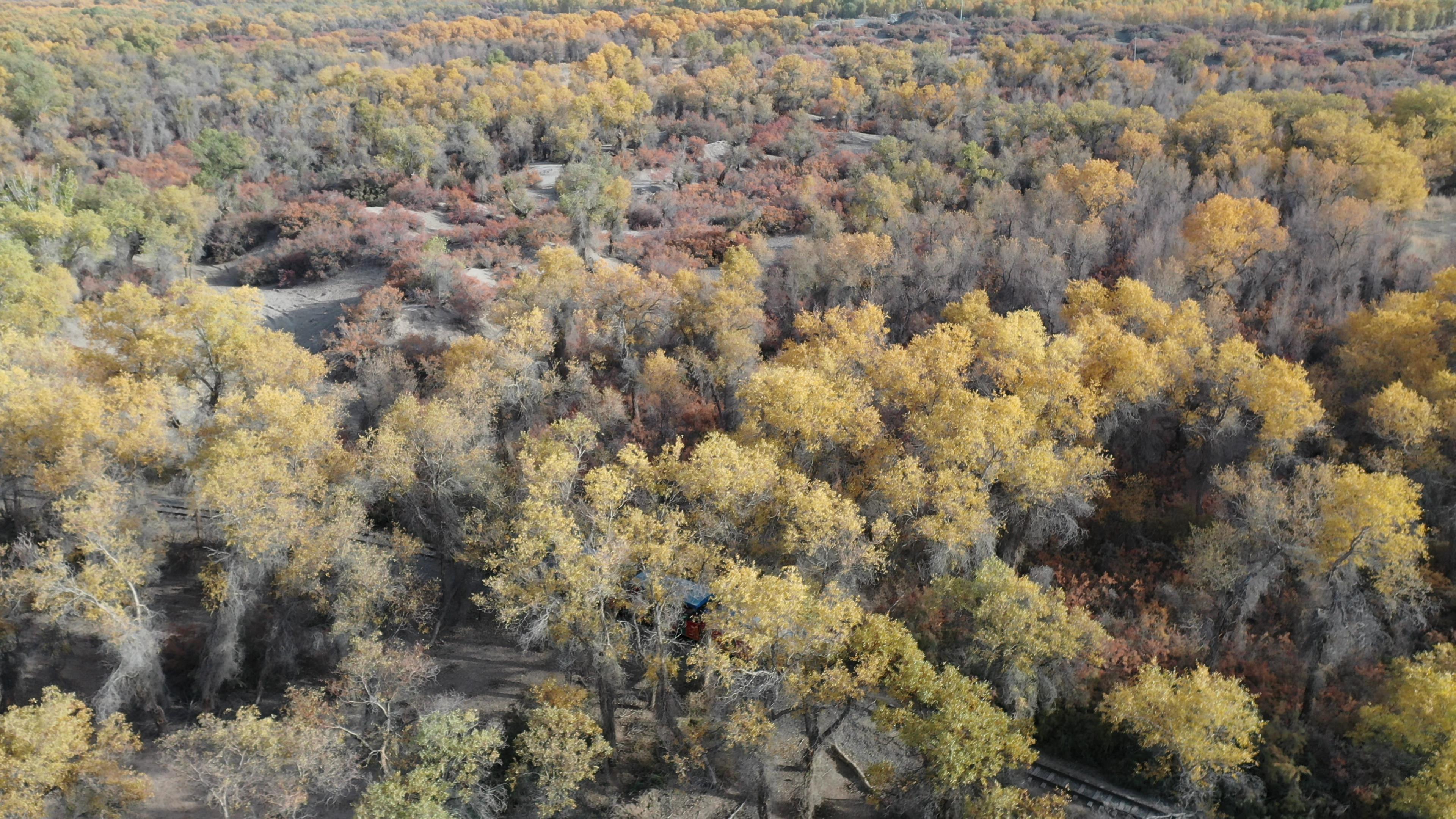 北疆15天旅游線路