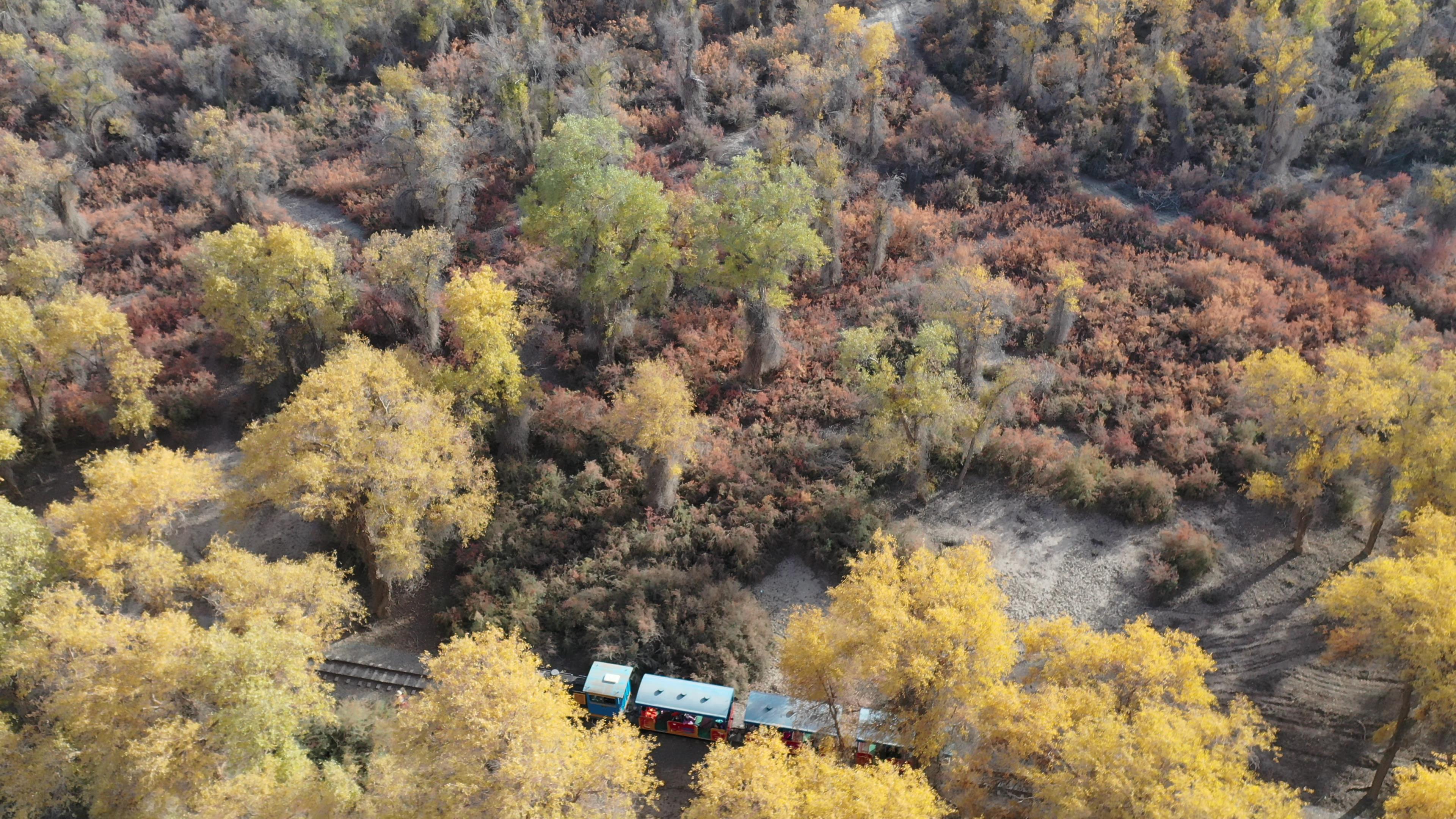 參團新疆旅游價格_新疆旅游參團報價