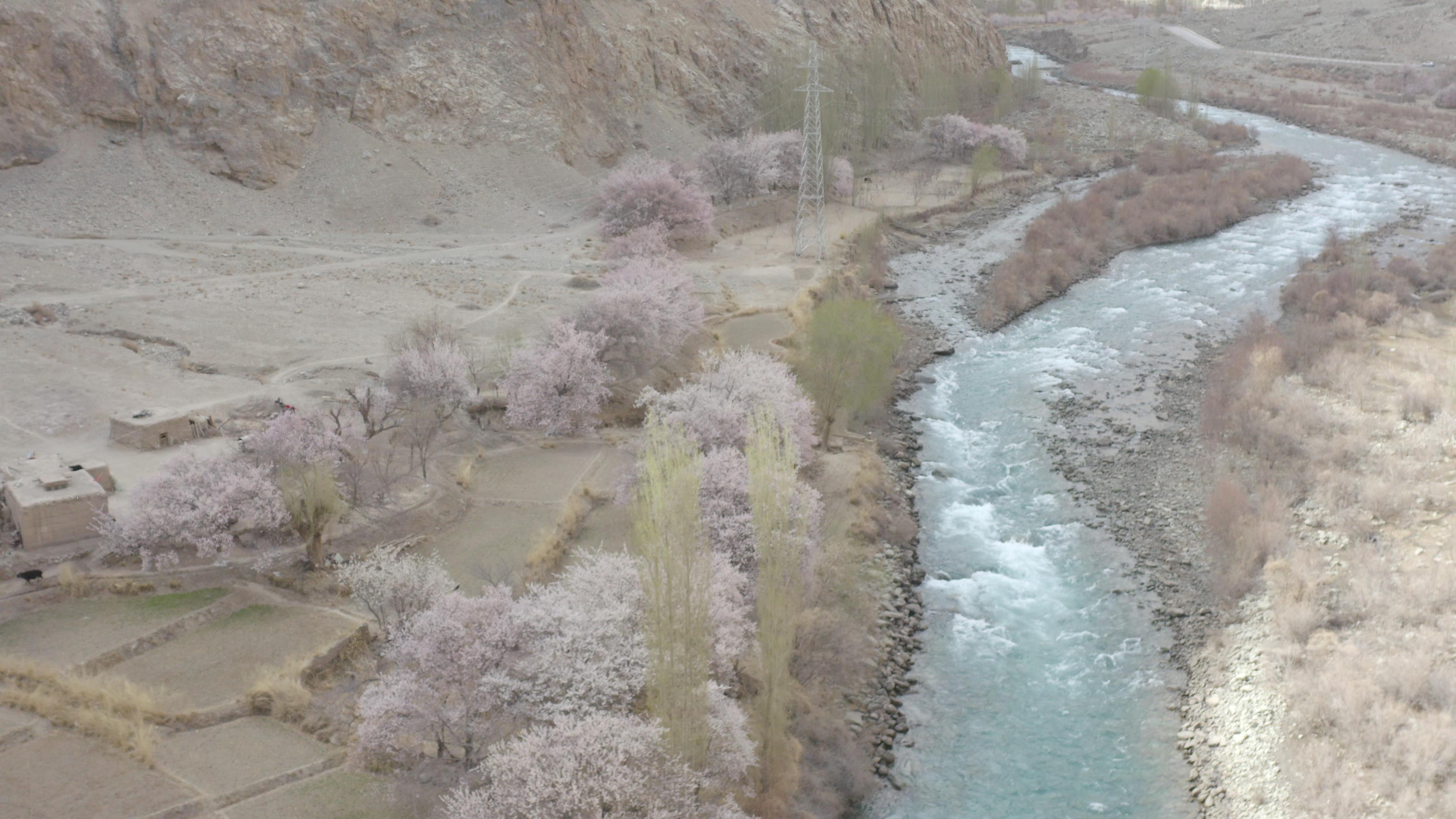 去新疆旅行跟團報價_去新疆旅行跟團報價多少