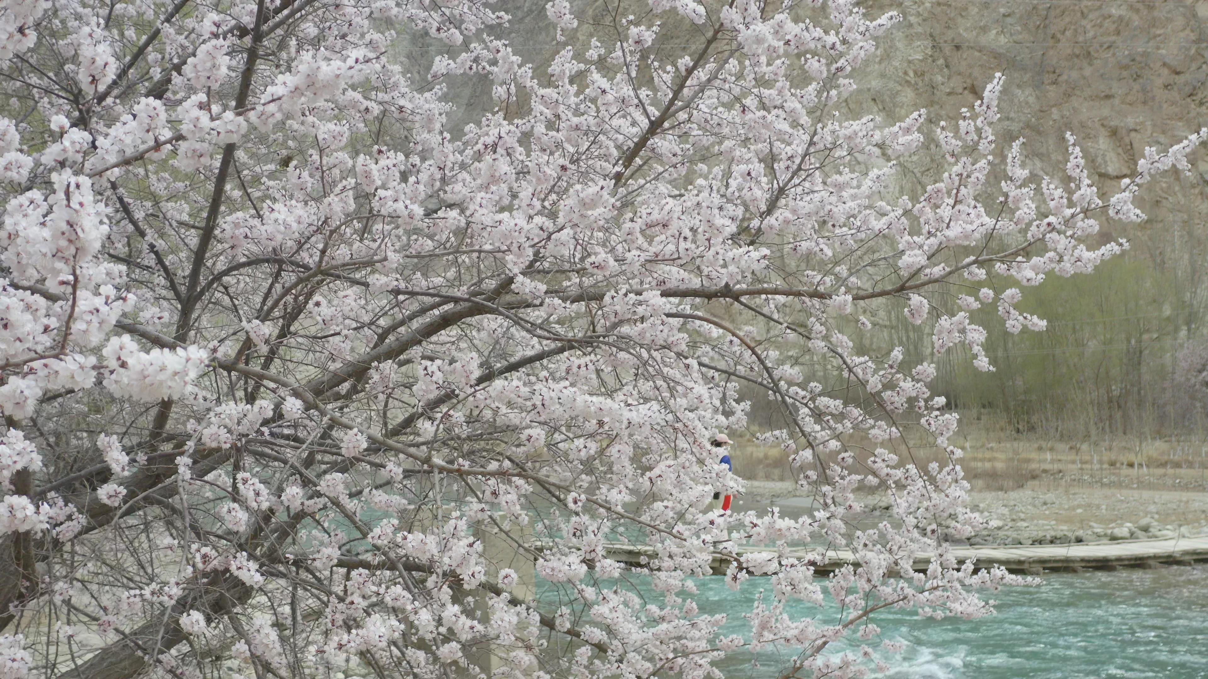 新疆當地旅游團靠譜_新疆本地旅游團