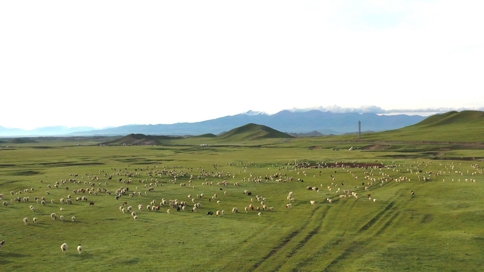 新疆一周旅游團多少錢_新疆一周旅游團多少錢啊