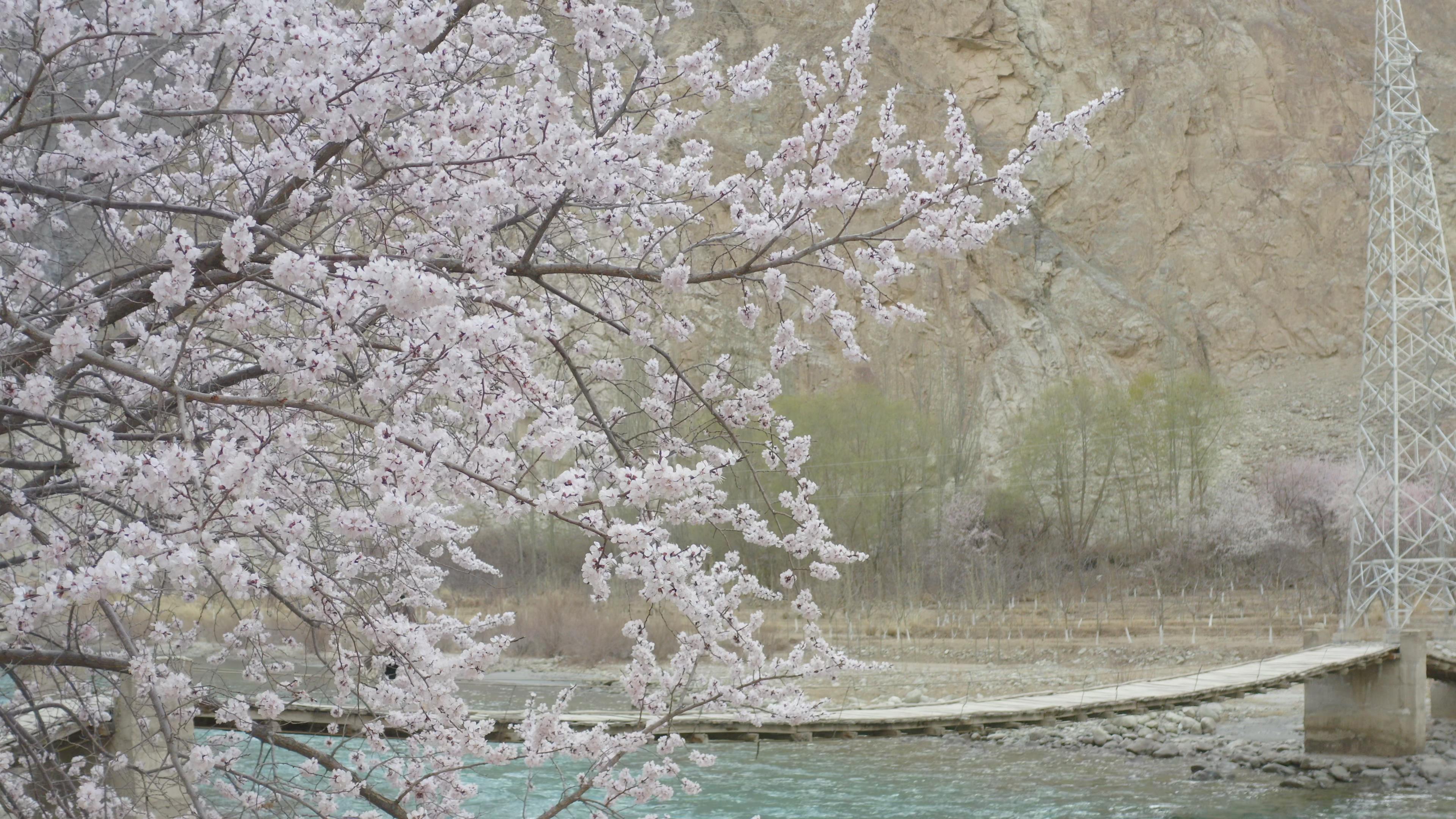 賽里木湖跟團游觀光多少錢_賽里木湖旅游團