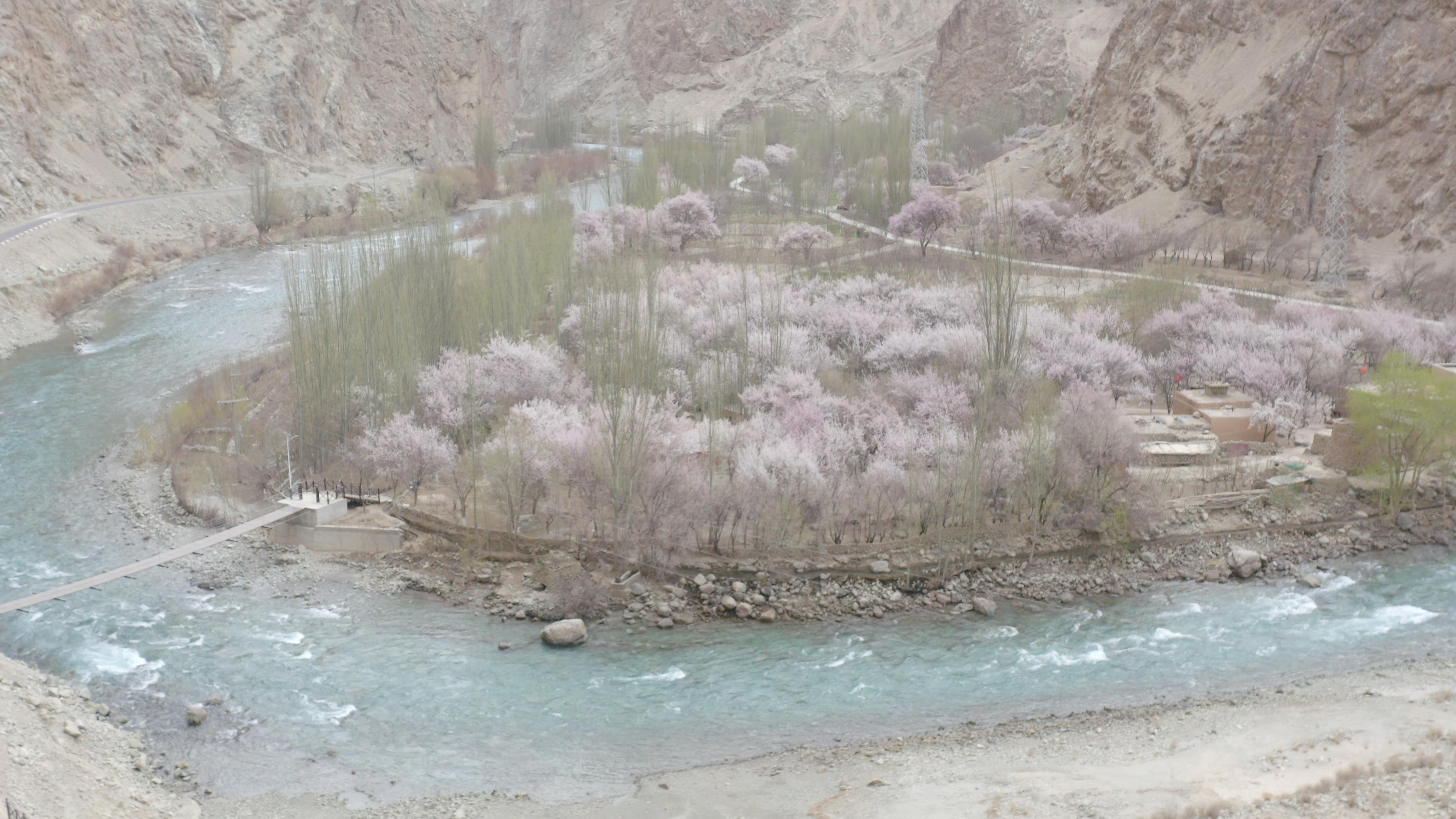 去新疆南疆旅游隨團多少錢_去新疆跟團游帶多少錢