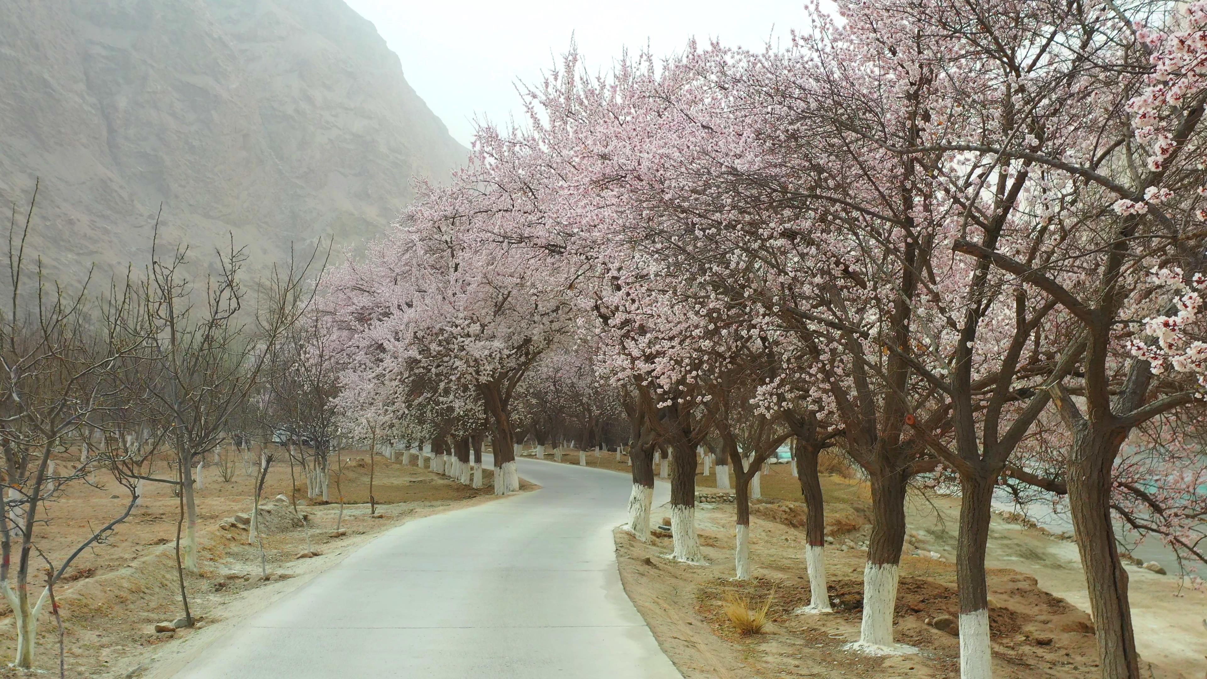 二月底喀什旅游_二月底喀什旅游攻略