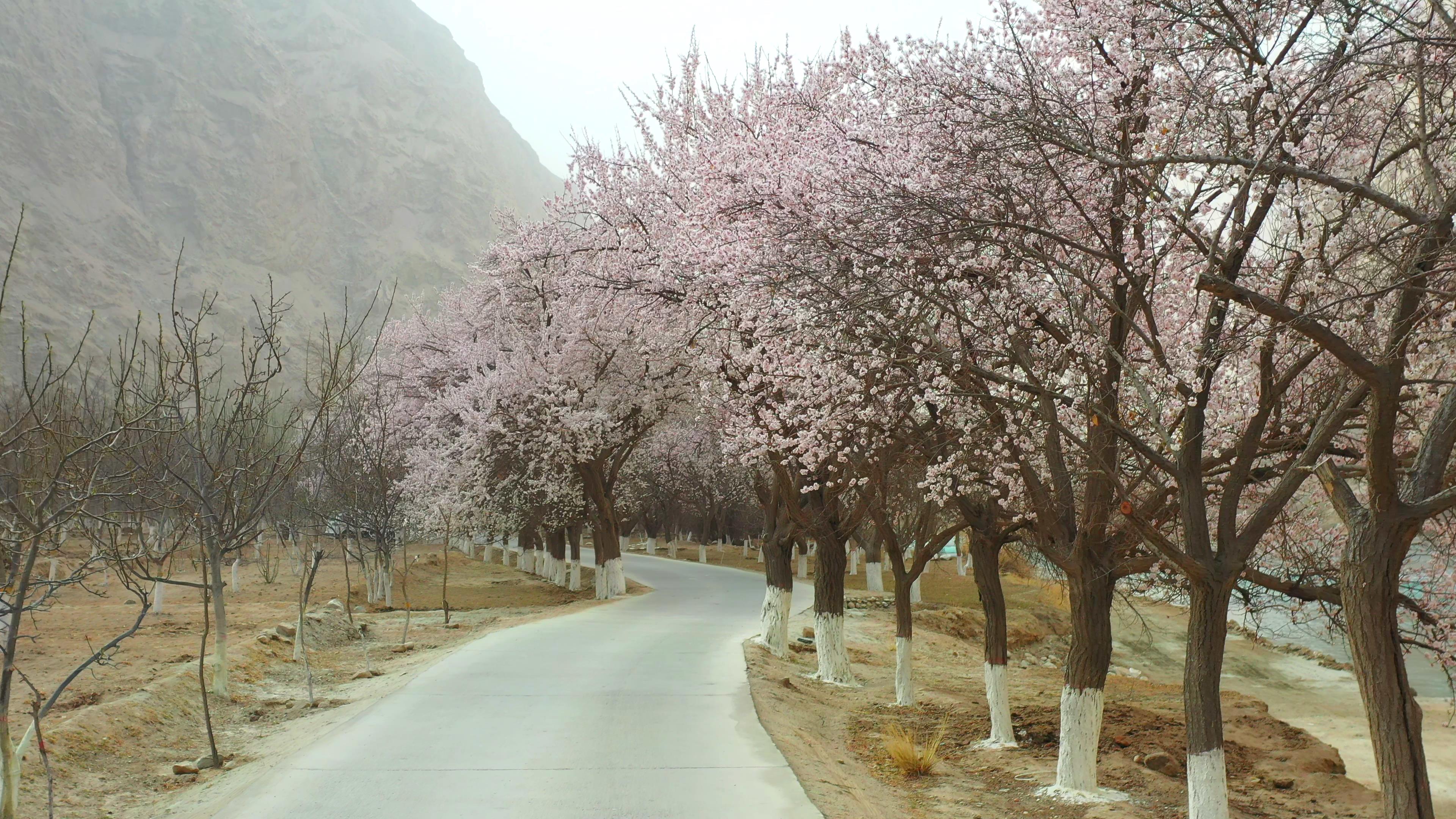 十月去那拉提旅游_十月去那拉提旅游好嗎