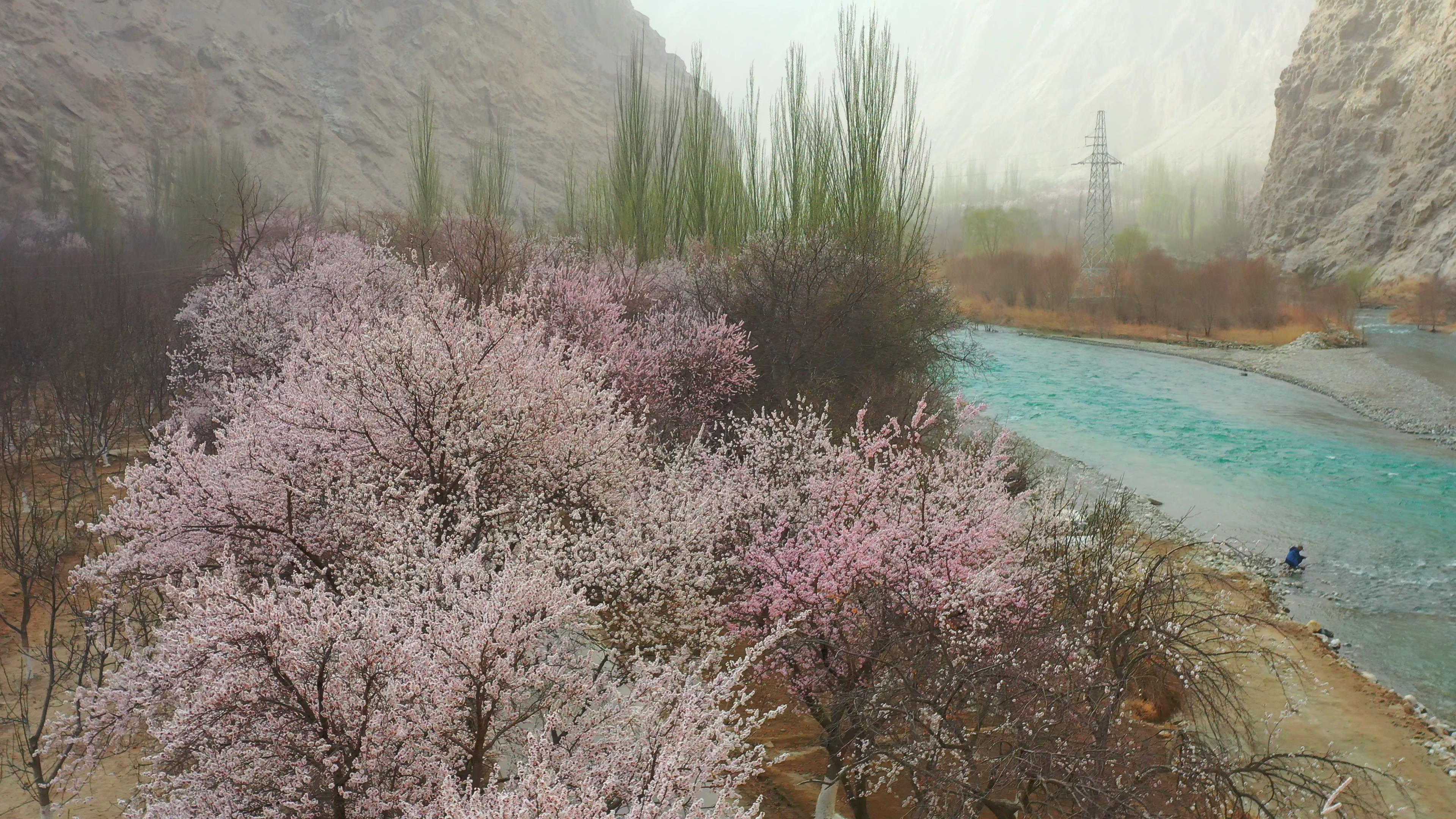 十月份去伊犁旅游報價_十月份去伊犁旅游報價多少