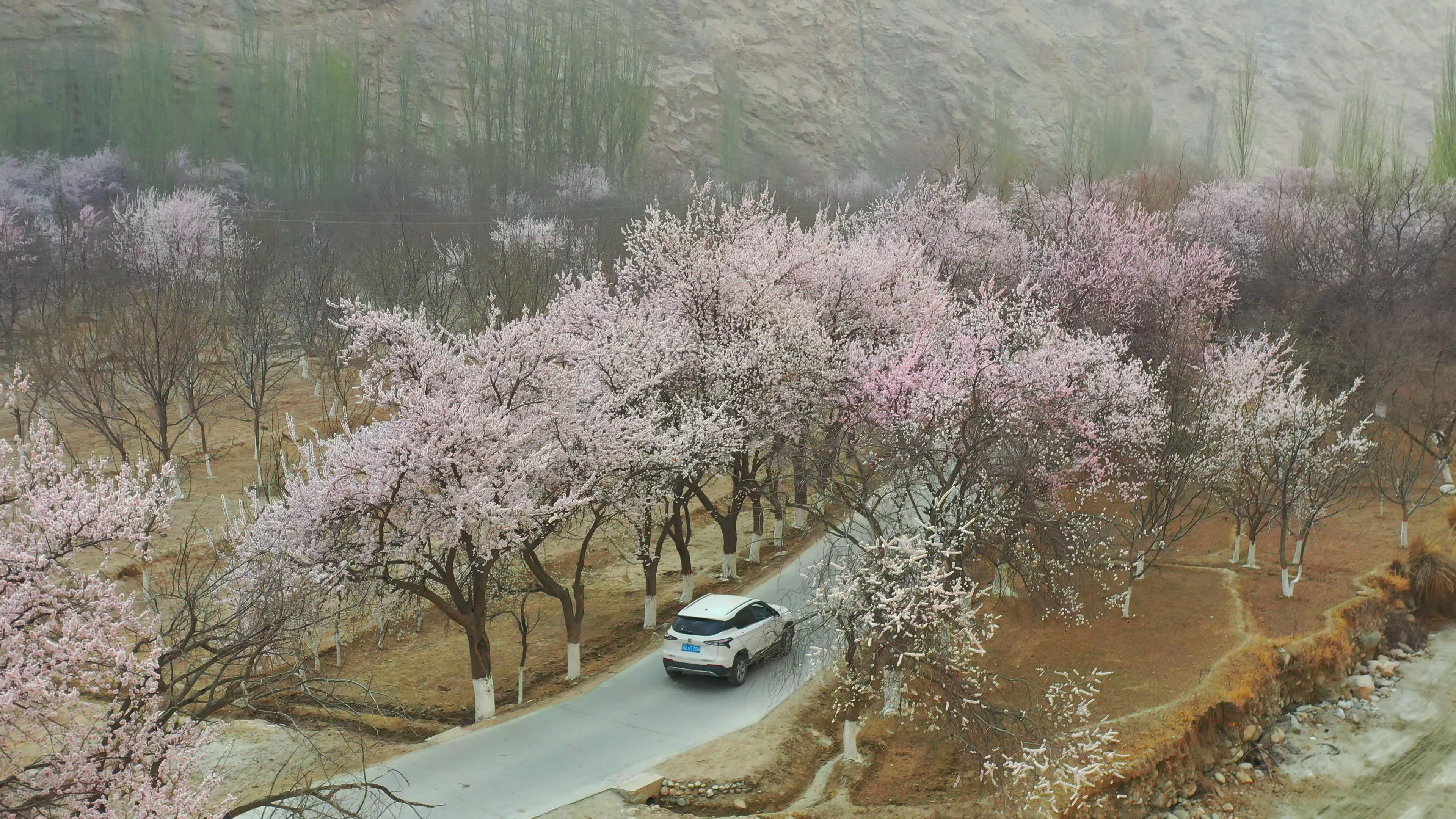 二月份賽里木湖跟團旅游費用_賽里木湖兩日游多少錢