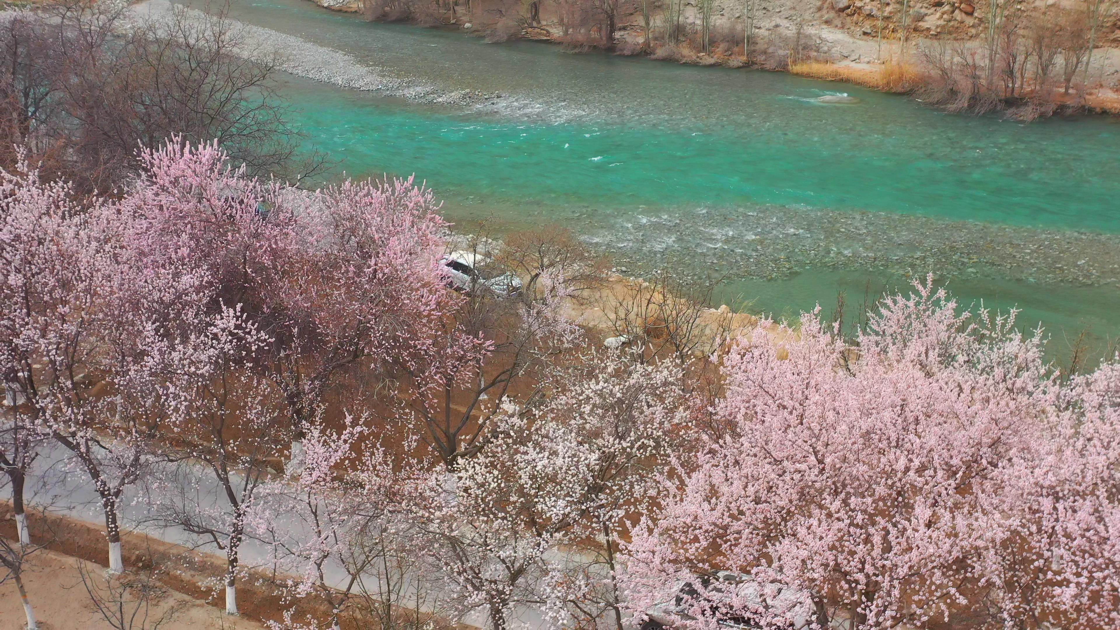 山東去新疆旅游需要花多少錢_山東去新疆旅游需要花多少錢呢