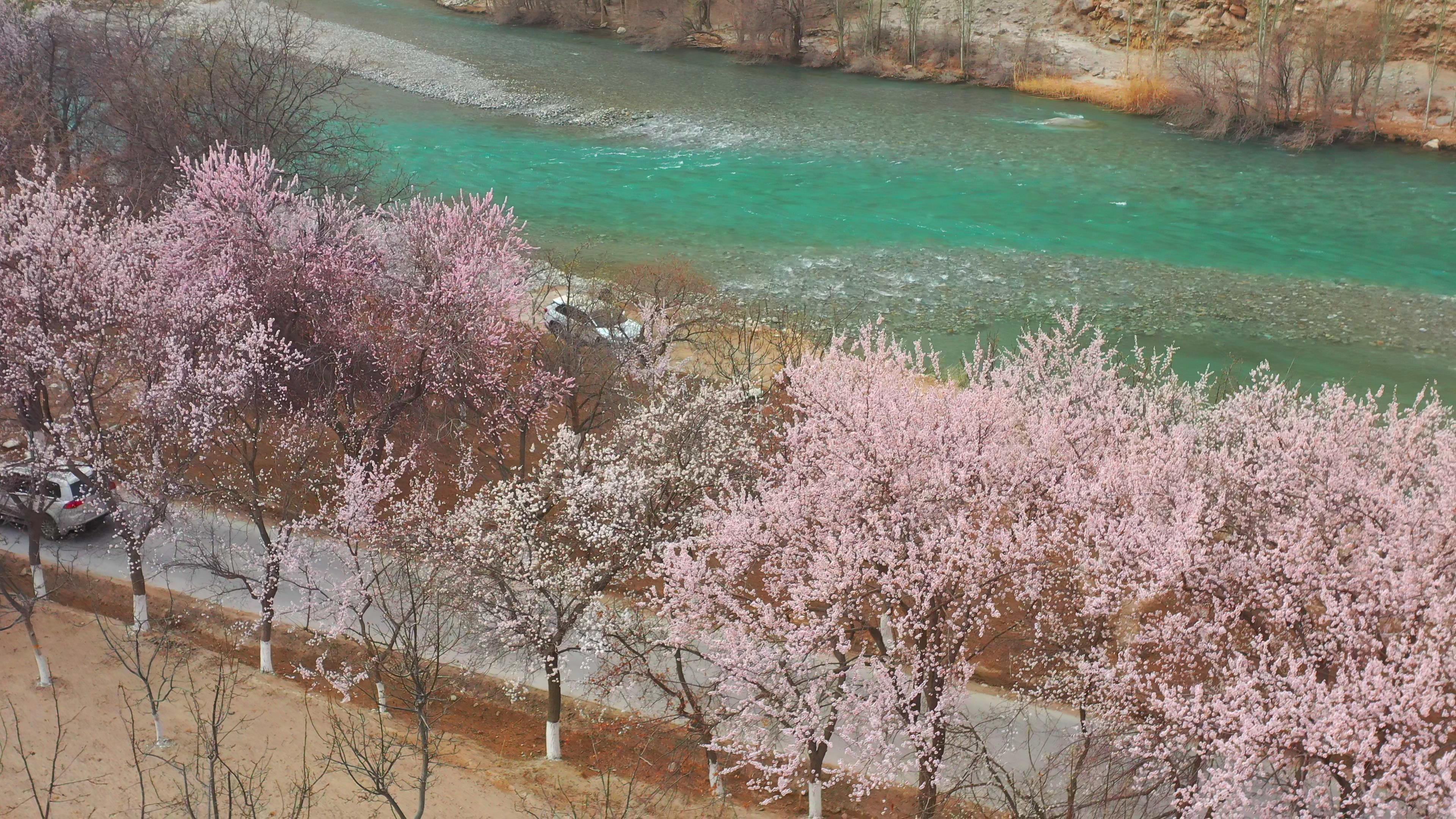 新疆南疆 北疆 東疆旅游多少錢_新疆旅游 南彊北彊哪個好