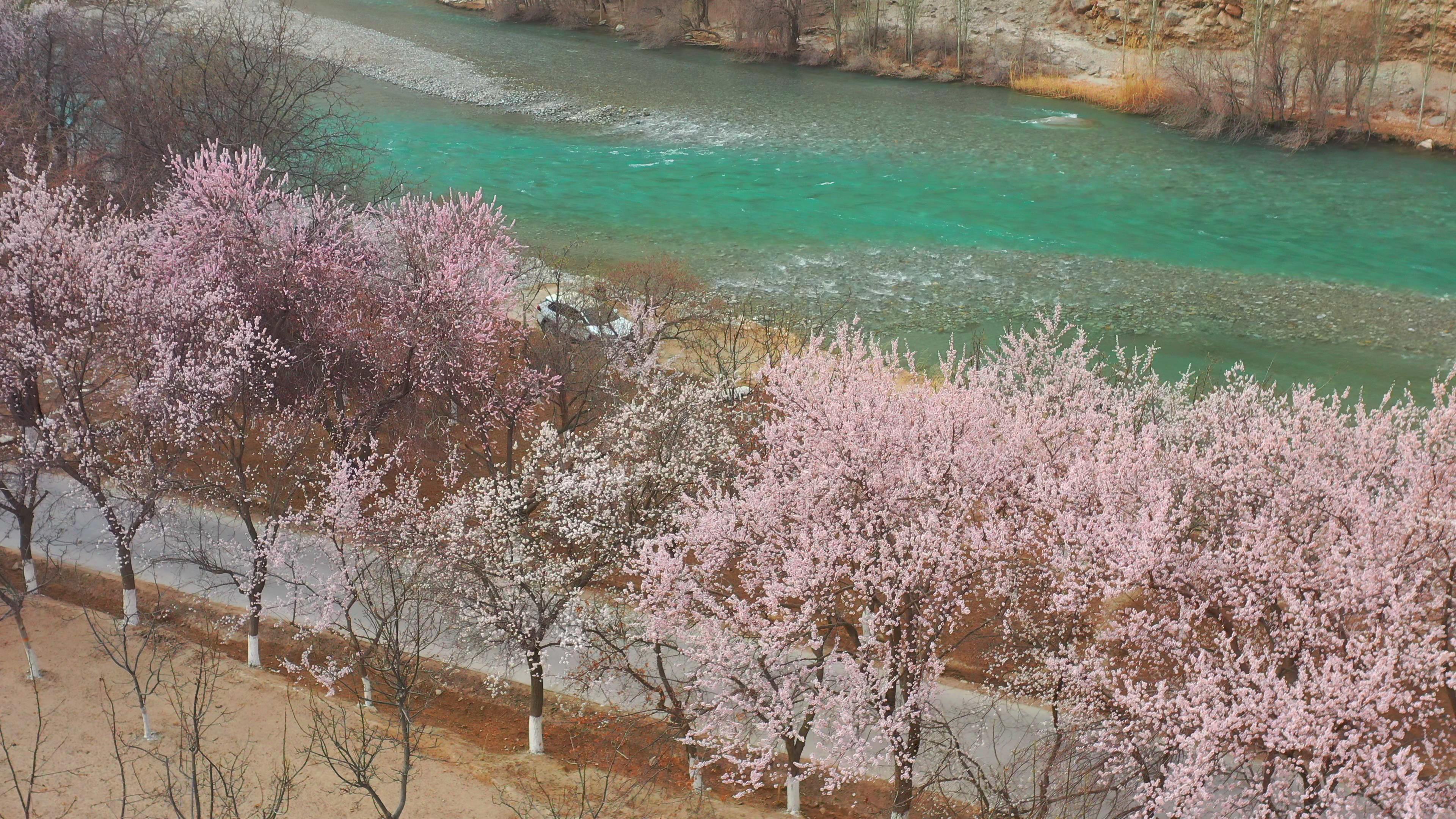 4月中旬去賽里木湖旅游價格_5月去賽里木湖