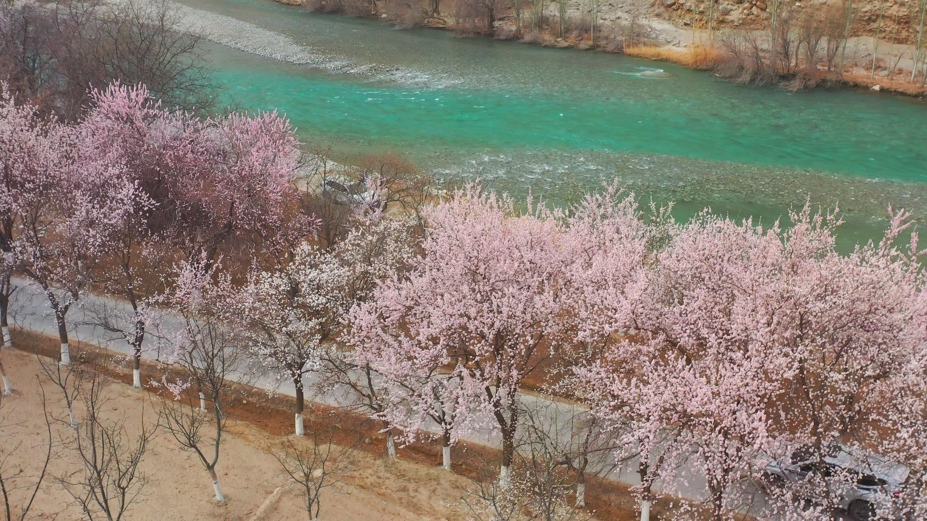 跟團喀什游費用_喀什當地跟團游