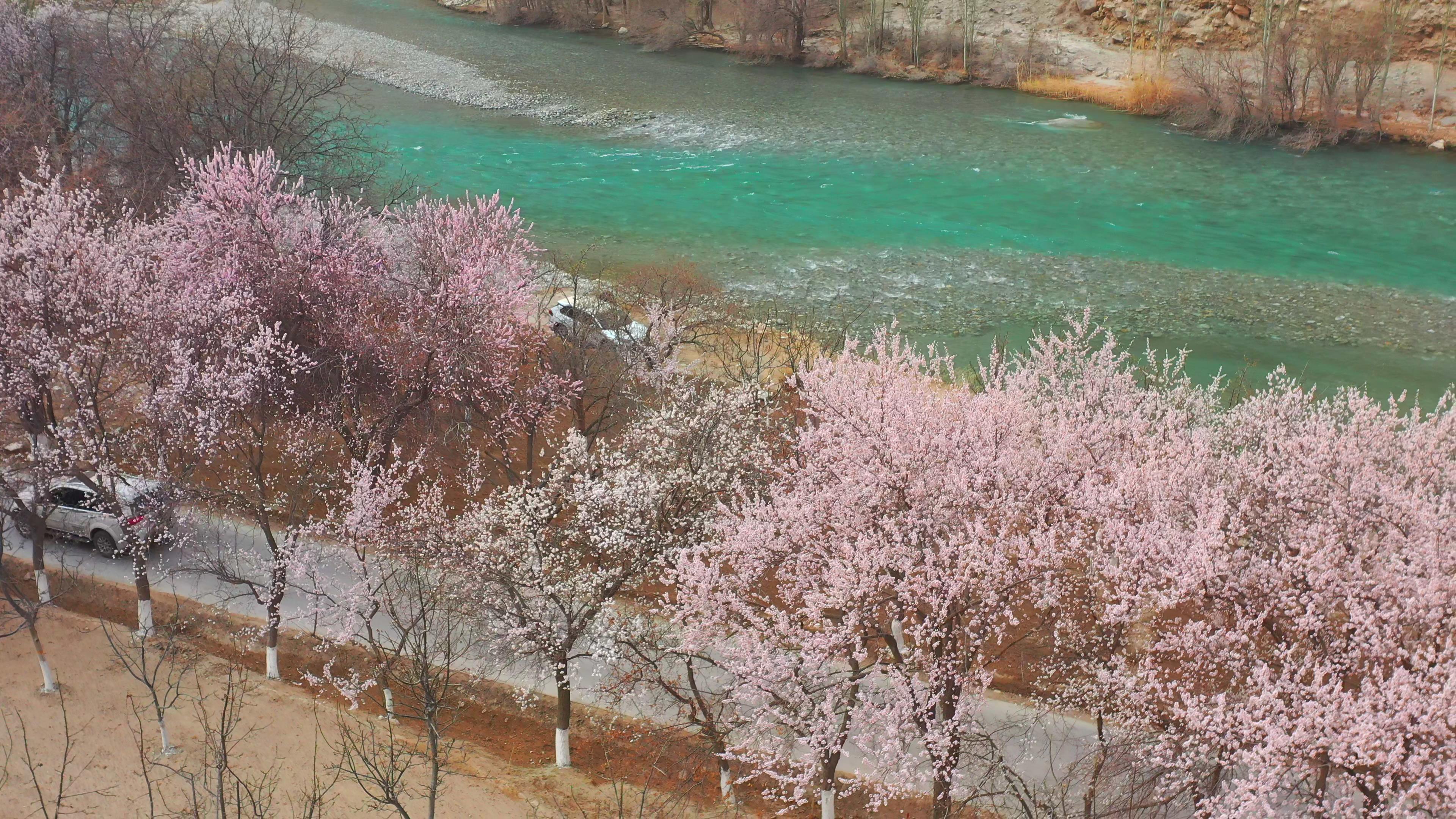 賽里木湖夏季旅行多少錢_賽里木湖旅游價格