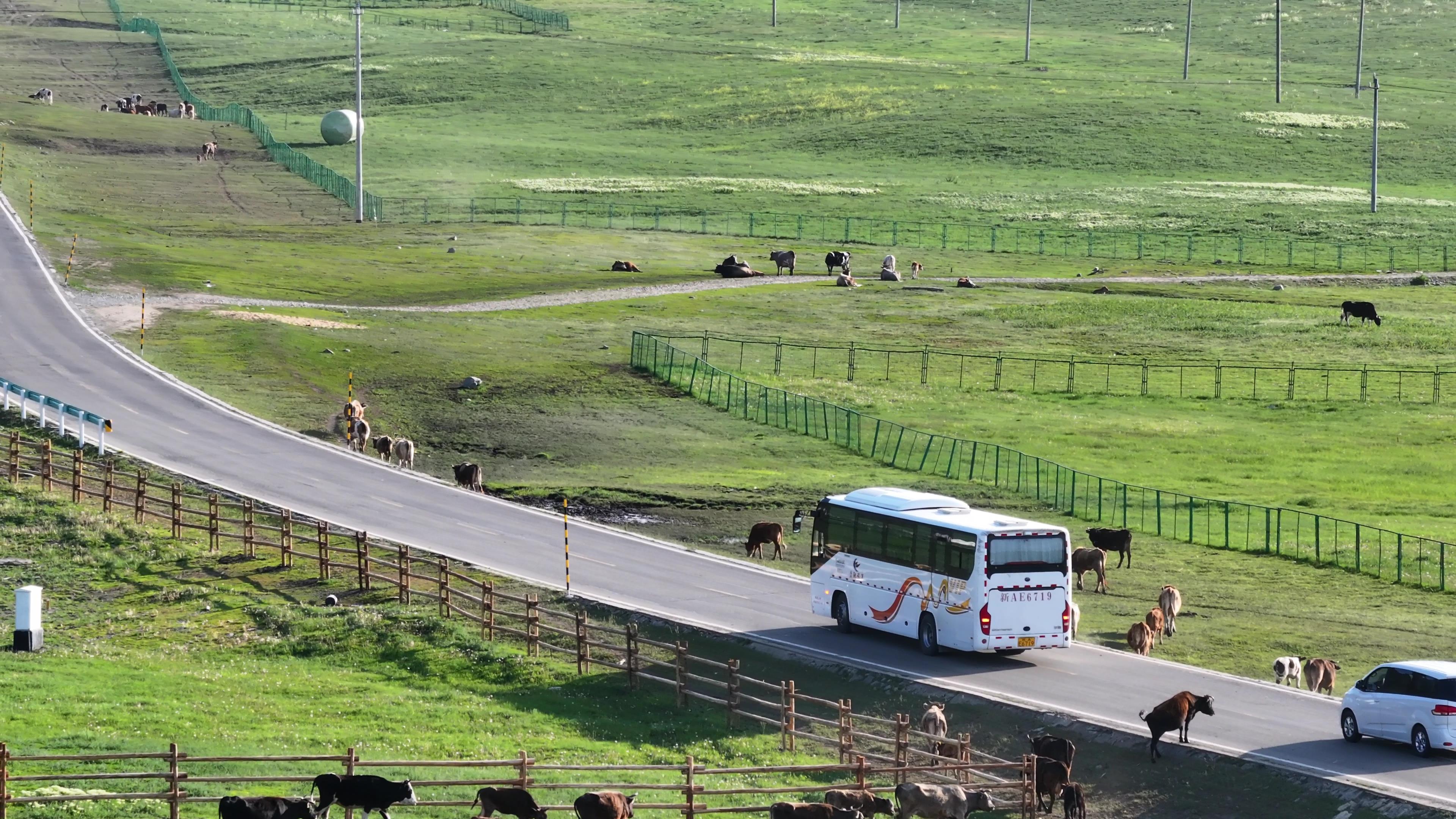 新疆北疆旅游小團報價