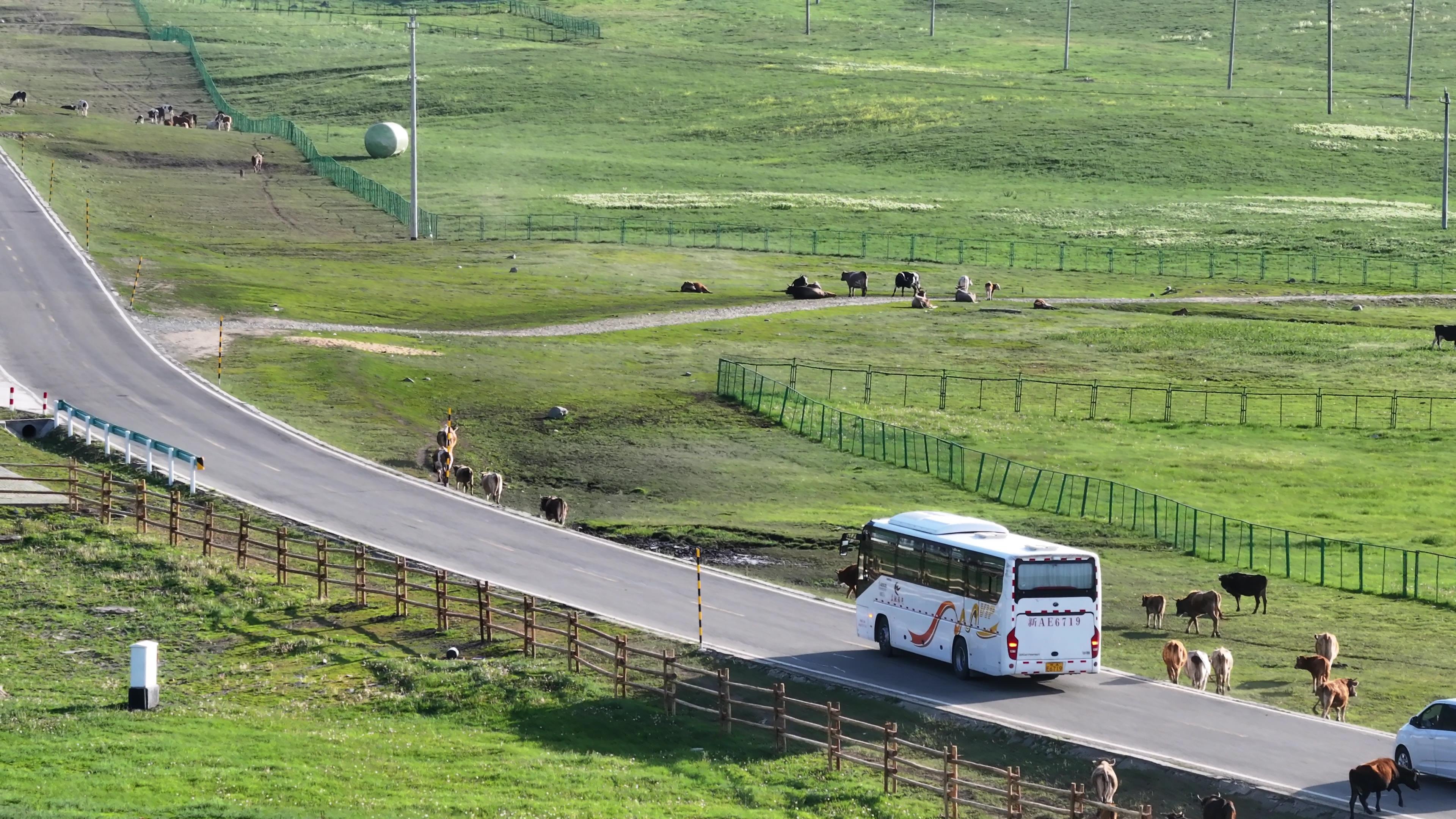 喀什旅游幾天_喀什旅游幾天最好