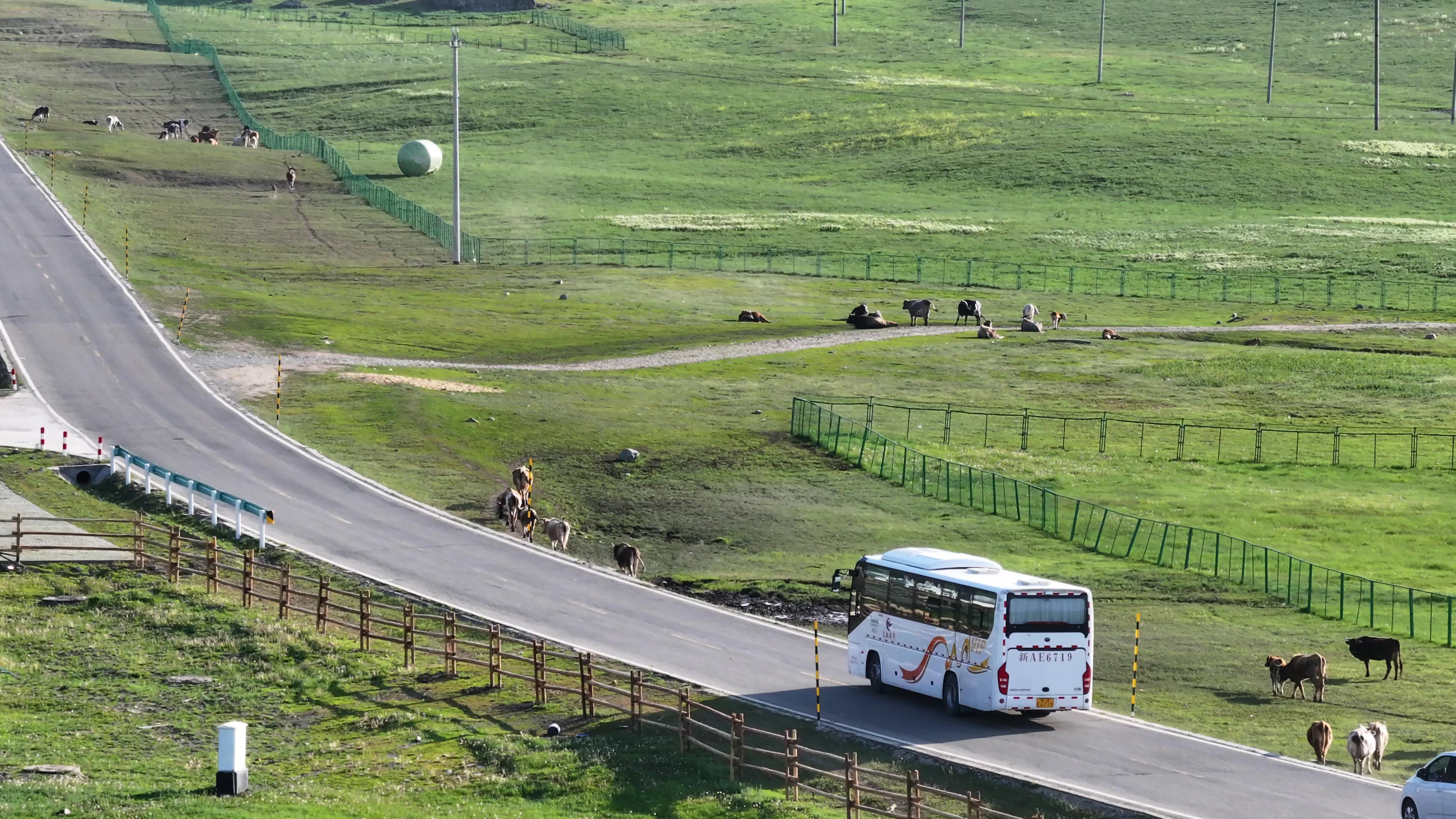 伊犁旅行社旅游團_伊犁旅行社旅游團電話