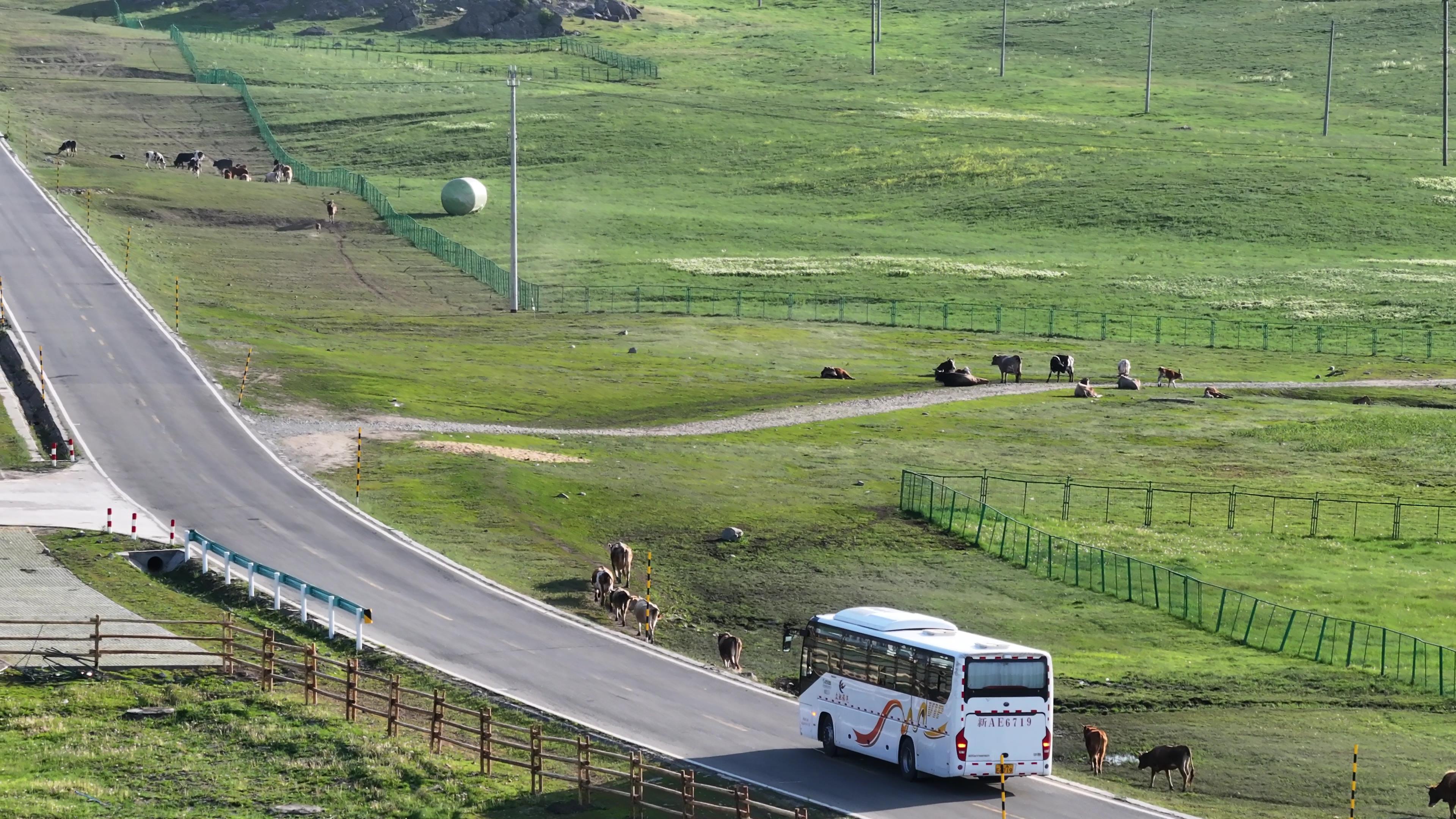 新疆 五日游_新疆五日游路線