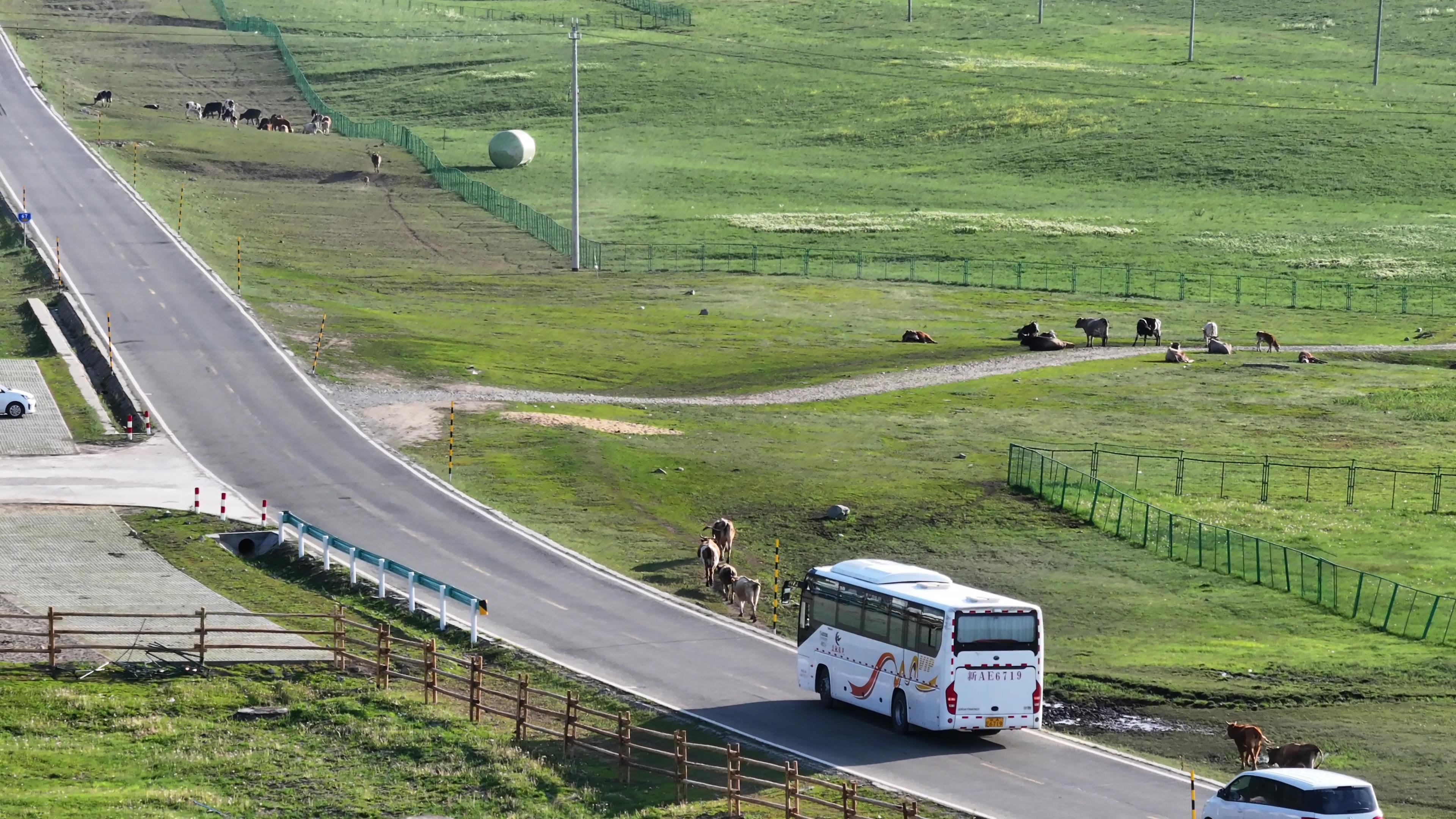 烏魯木齊去喀什旅游團_烏魯木齊去喀什旅游團多少錢