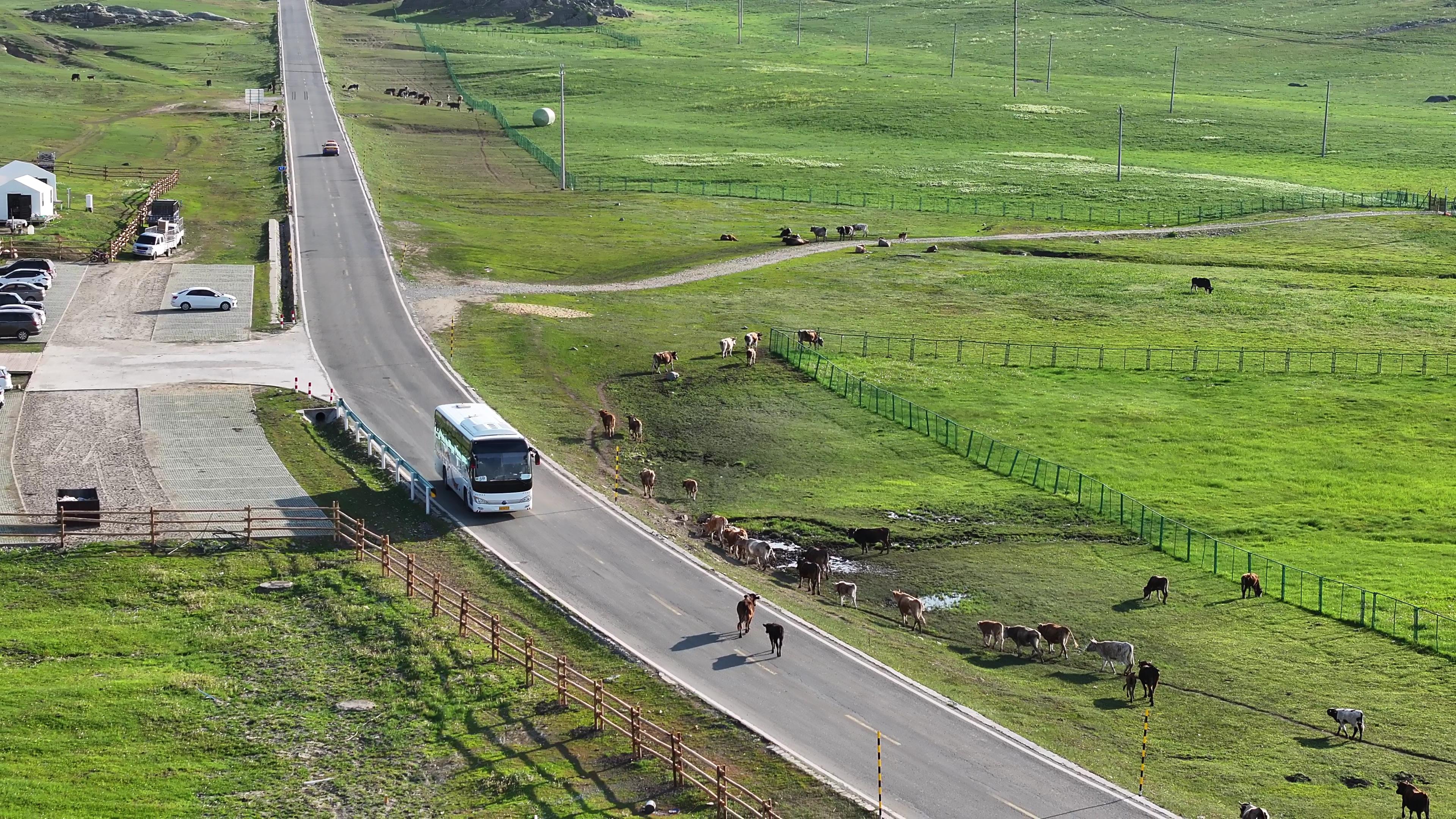 烏魯木齊市旅游包車價格_烏魯木齊市旅游包車價格表