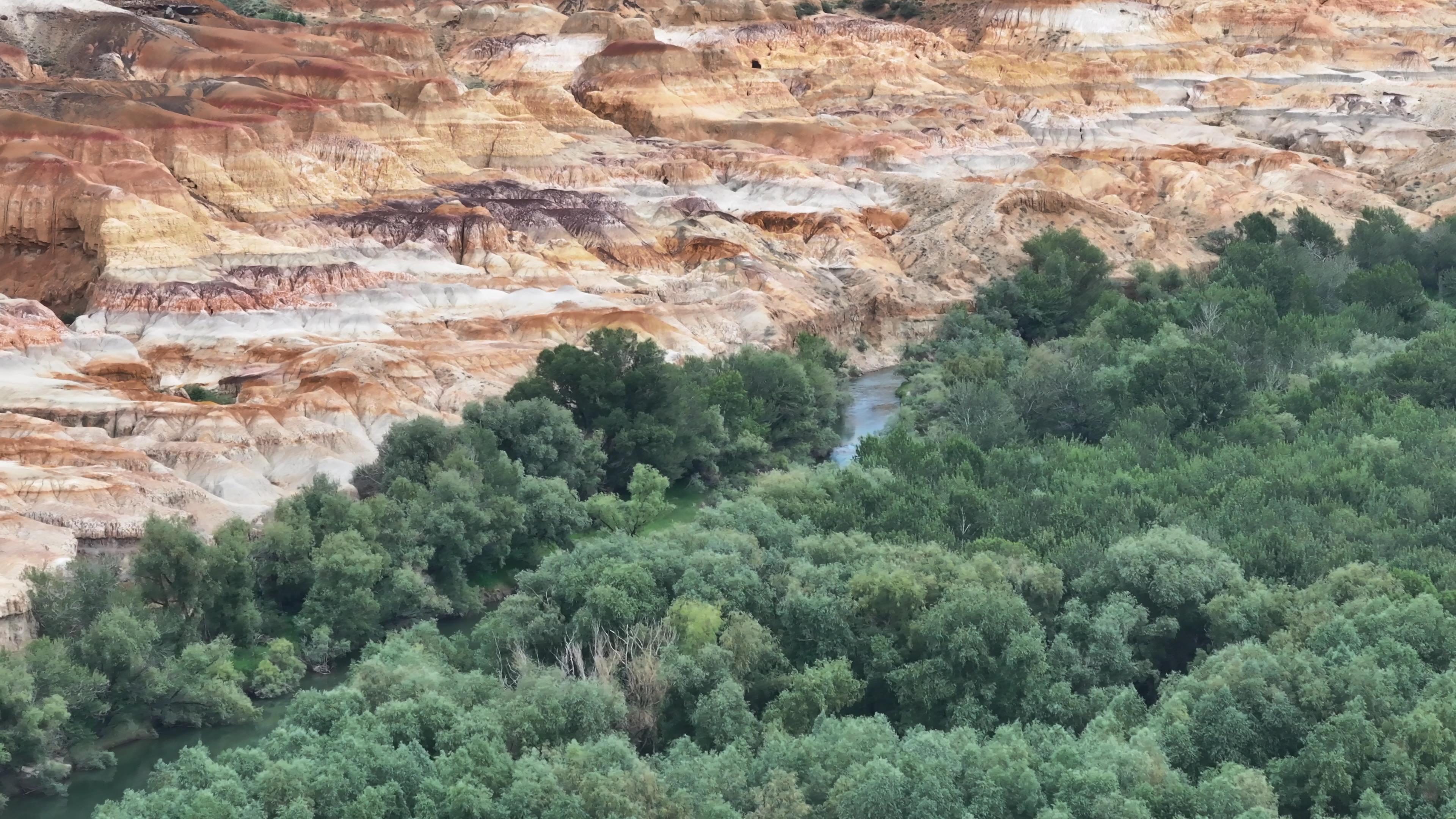 去喀什旅行團價格_去喀什旅行團價格多少