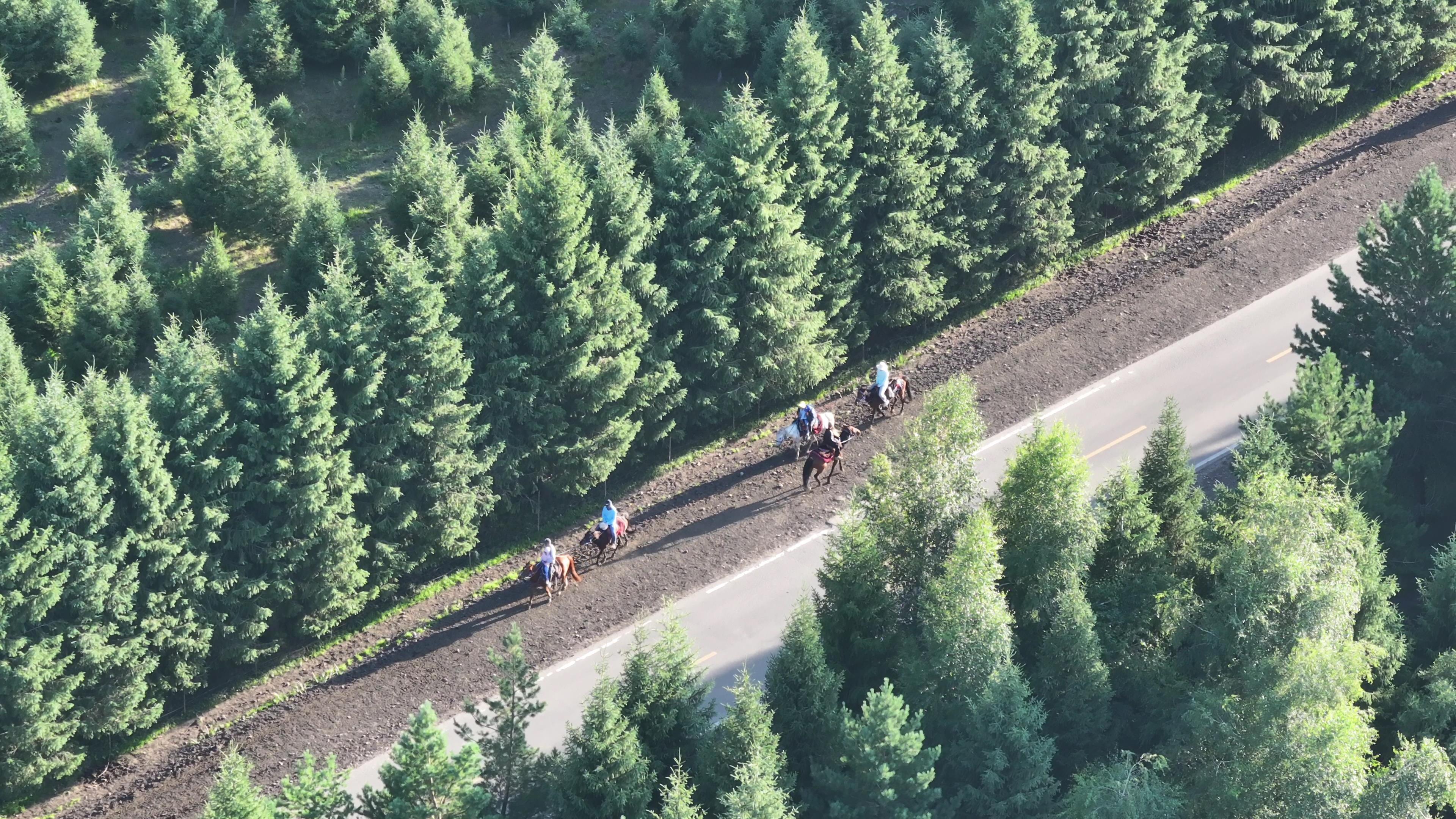 一月去喀什旅游路線費用_一月去喀什旅游路線費用多少