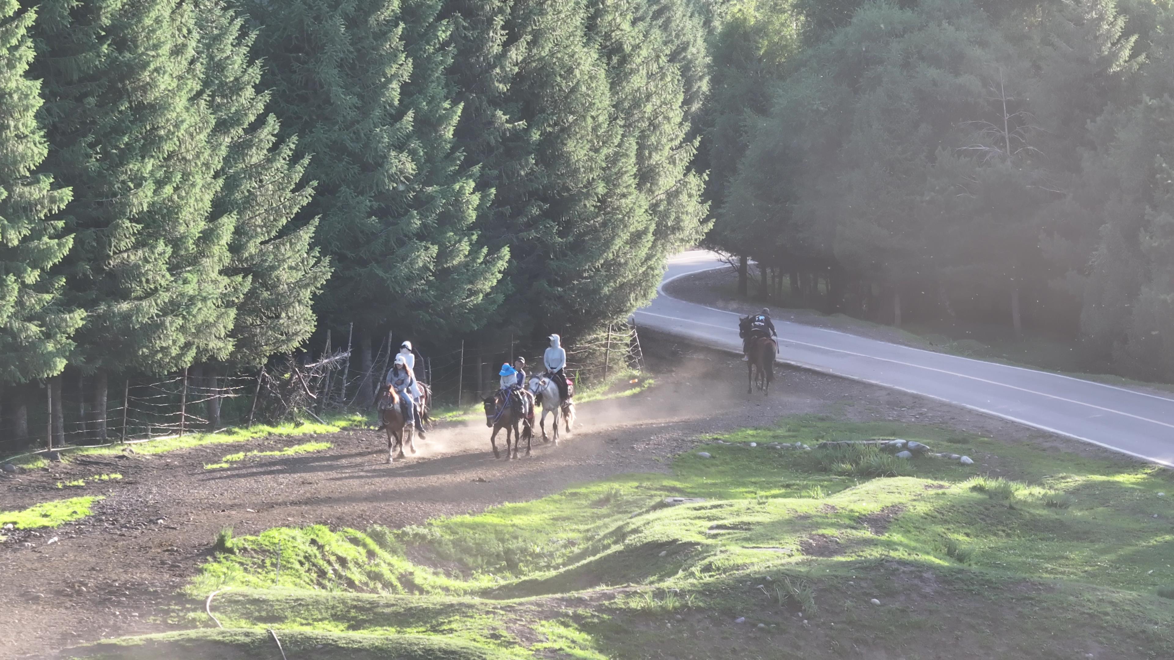 去賽里木湖跟團旅游_去賽里木湖跟團旅游要多少錢