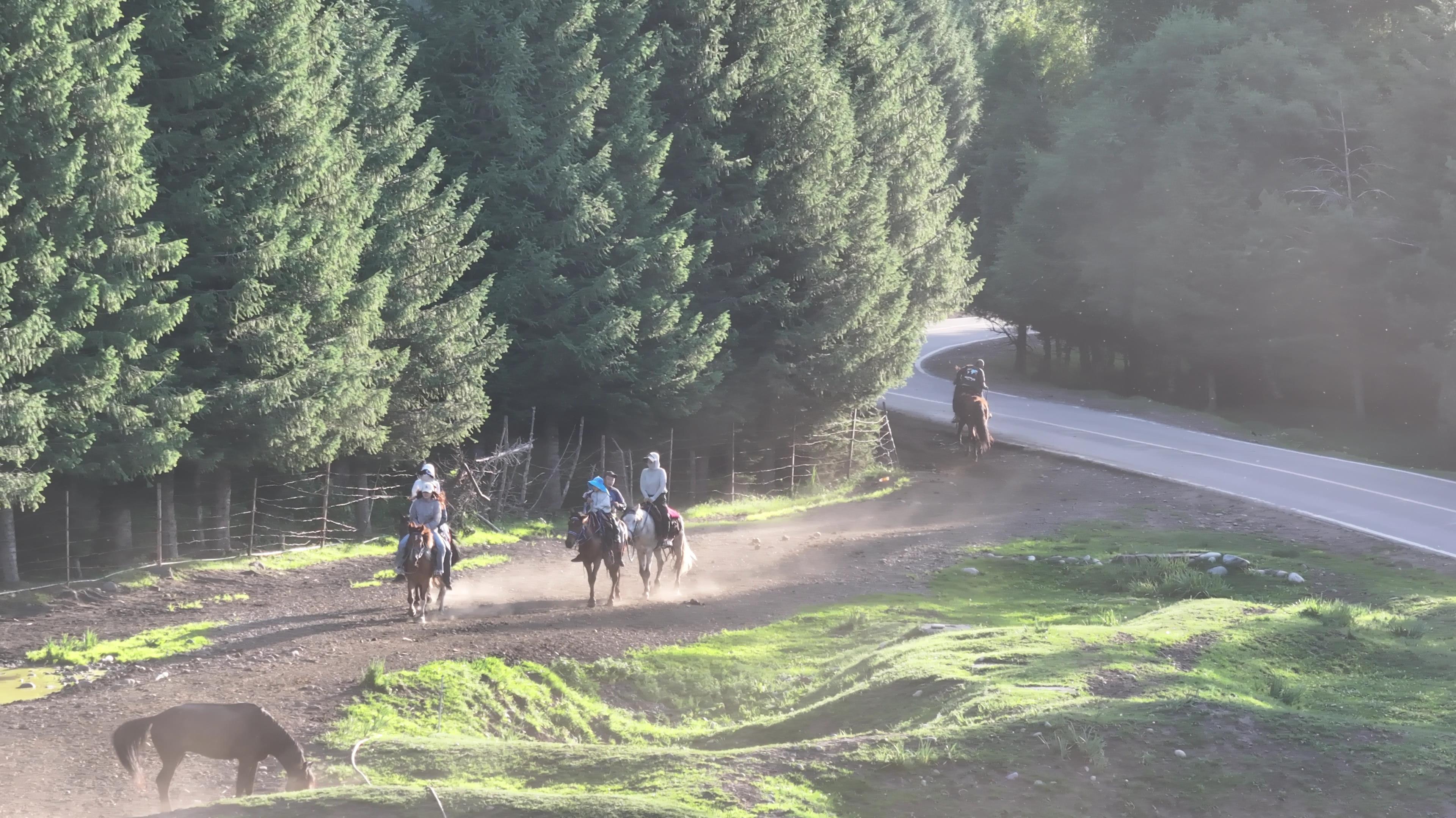 天津新疆旅游_天津新疆旅游專列價格