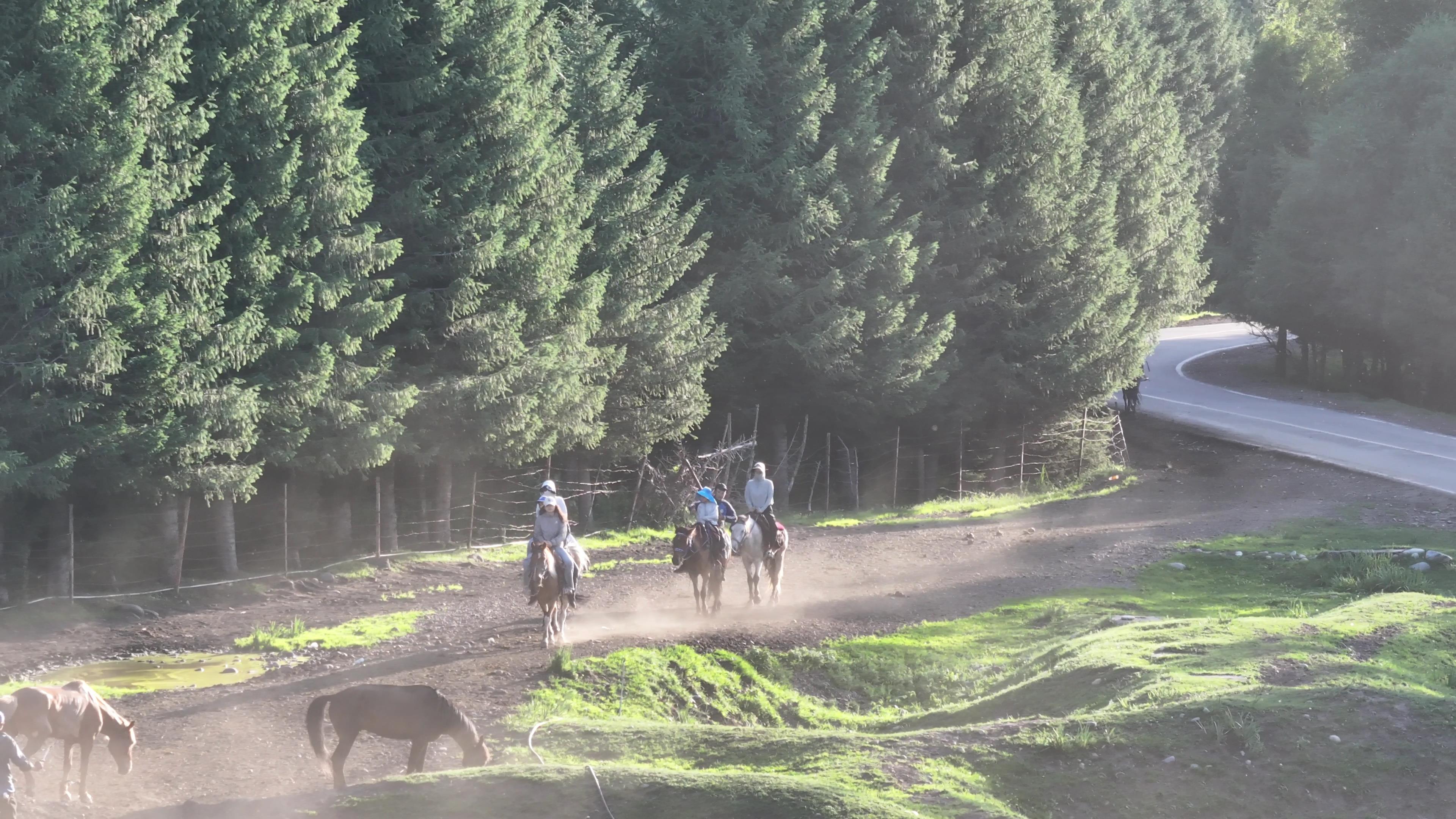 那拉提旅游純玩跟團價格_那拉提旅游純玩跟團價格多少