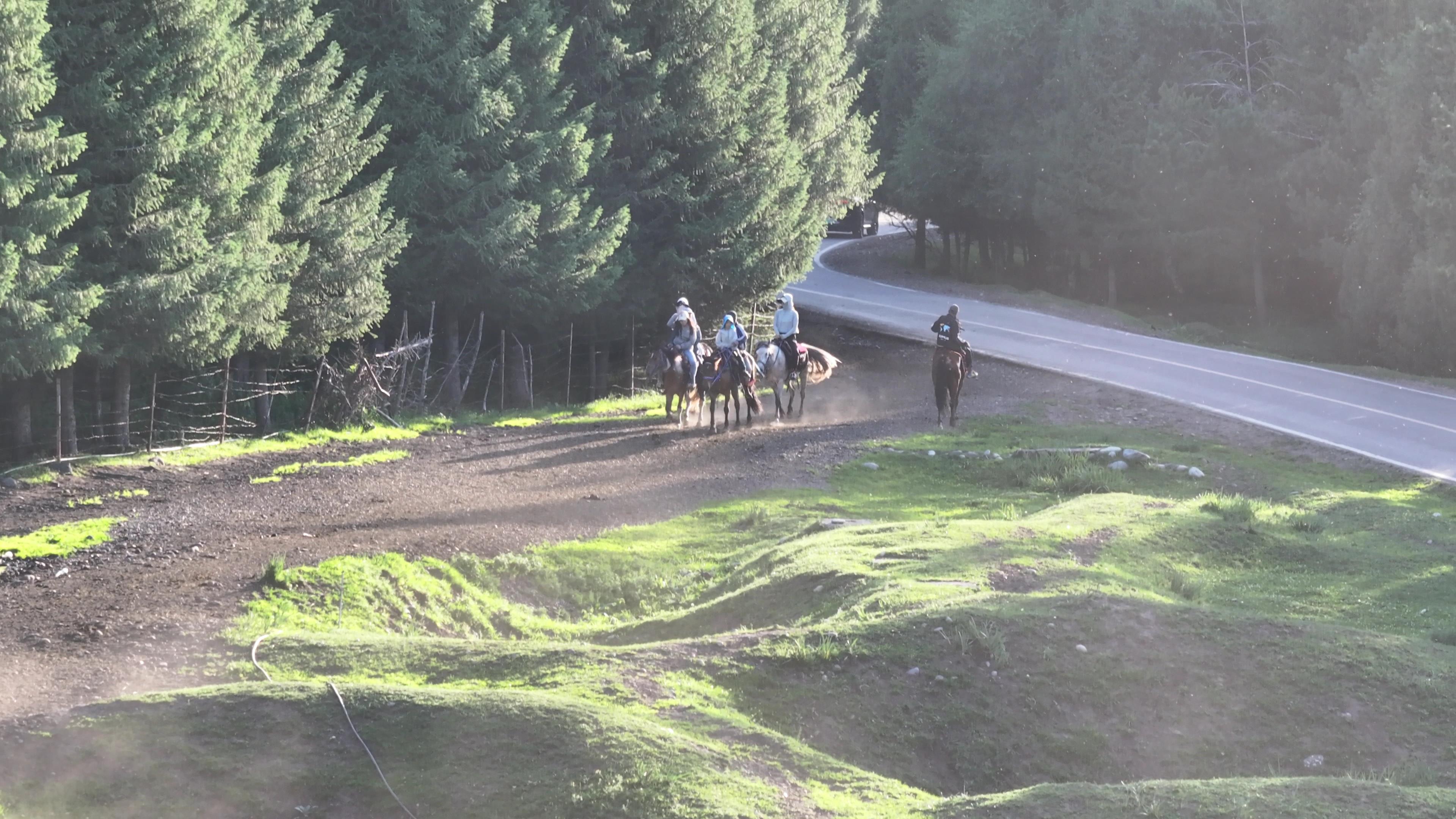 新疆南疆跟團旅行社多少錢_新疆跟團游多少錢