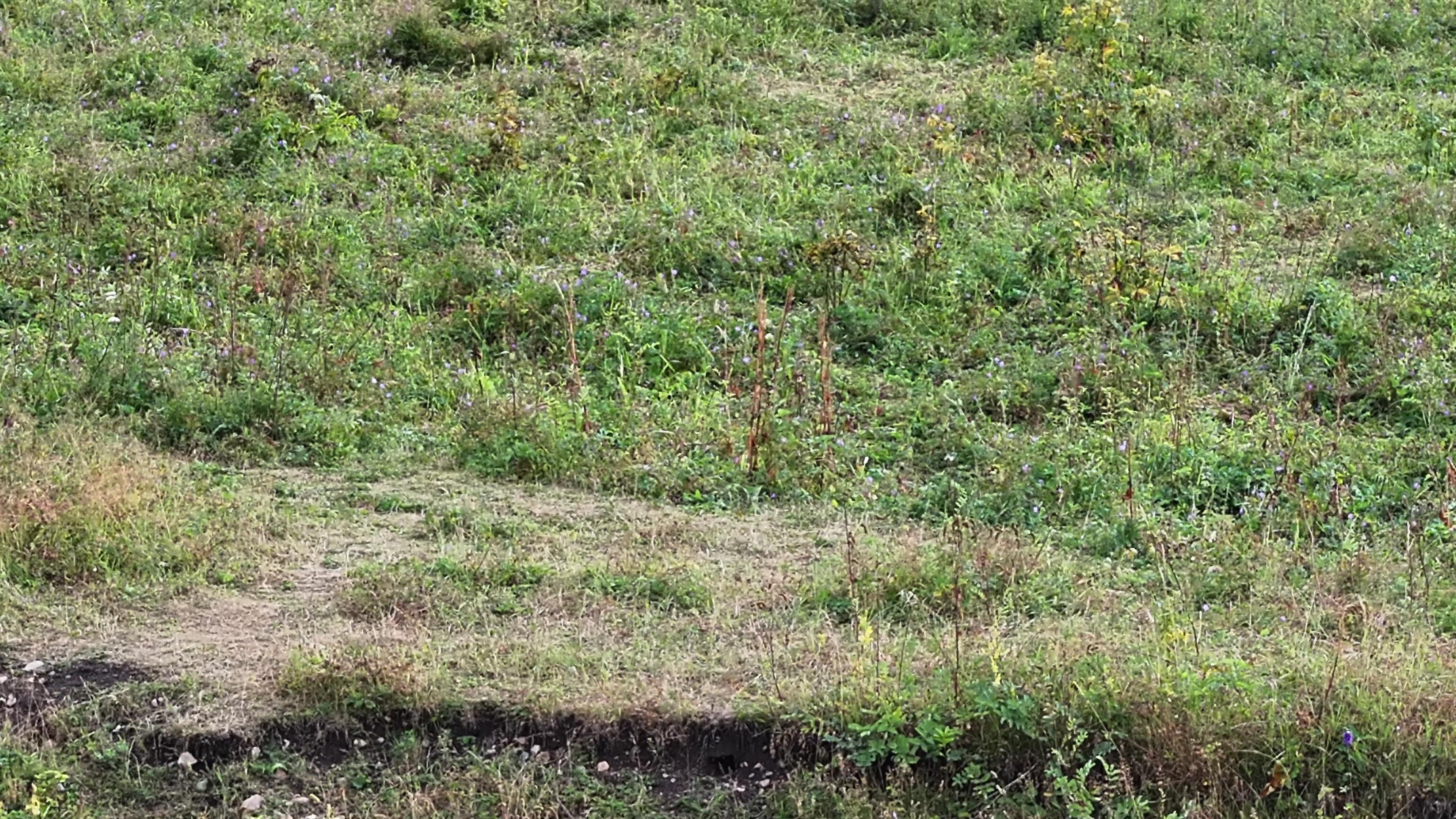 去伊犁4日游報價_伊犁4日旅游線路