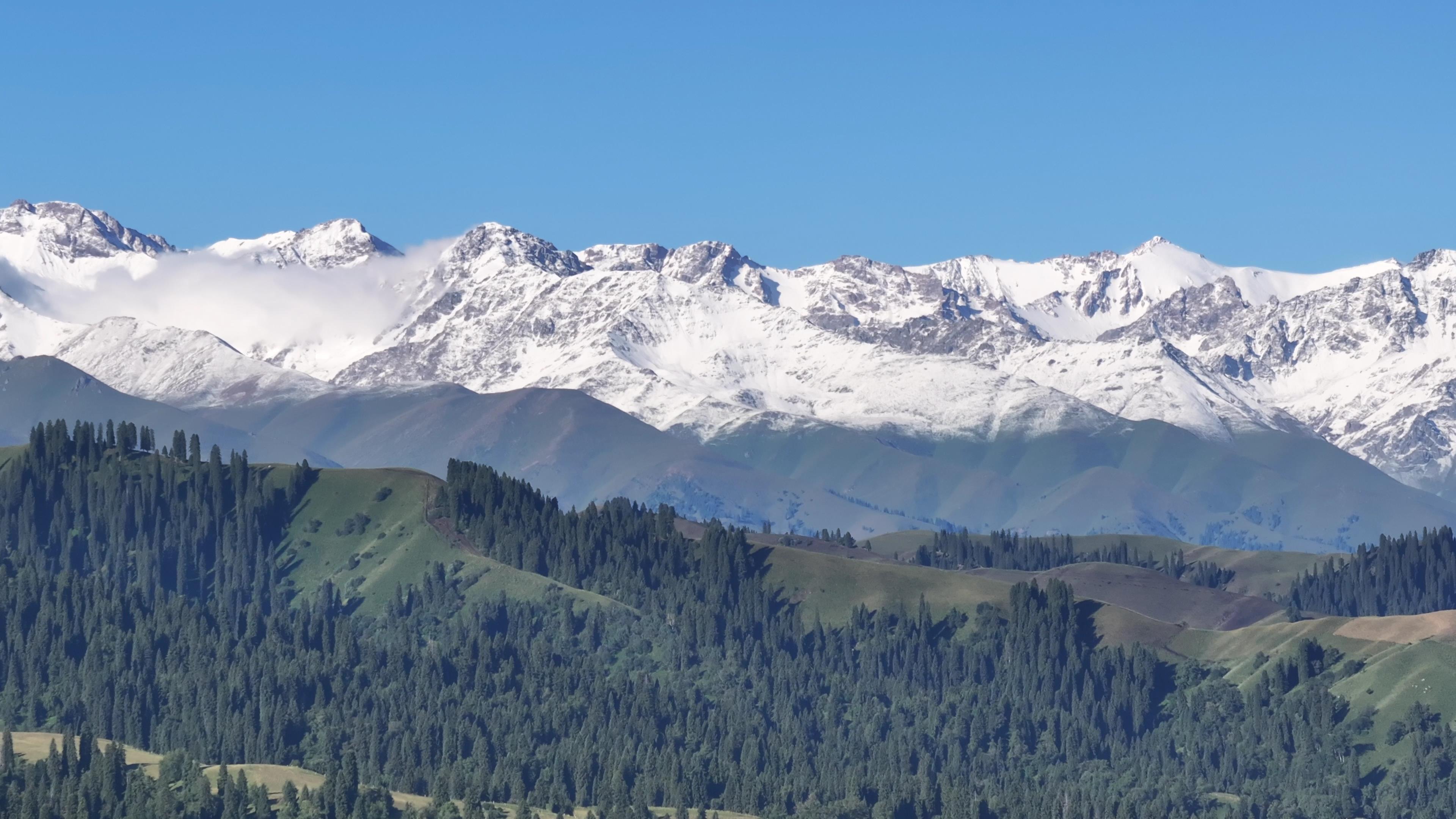 喀納斯旅游六月價格_喀納斯旅游六月價格多少