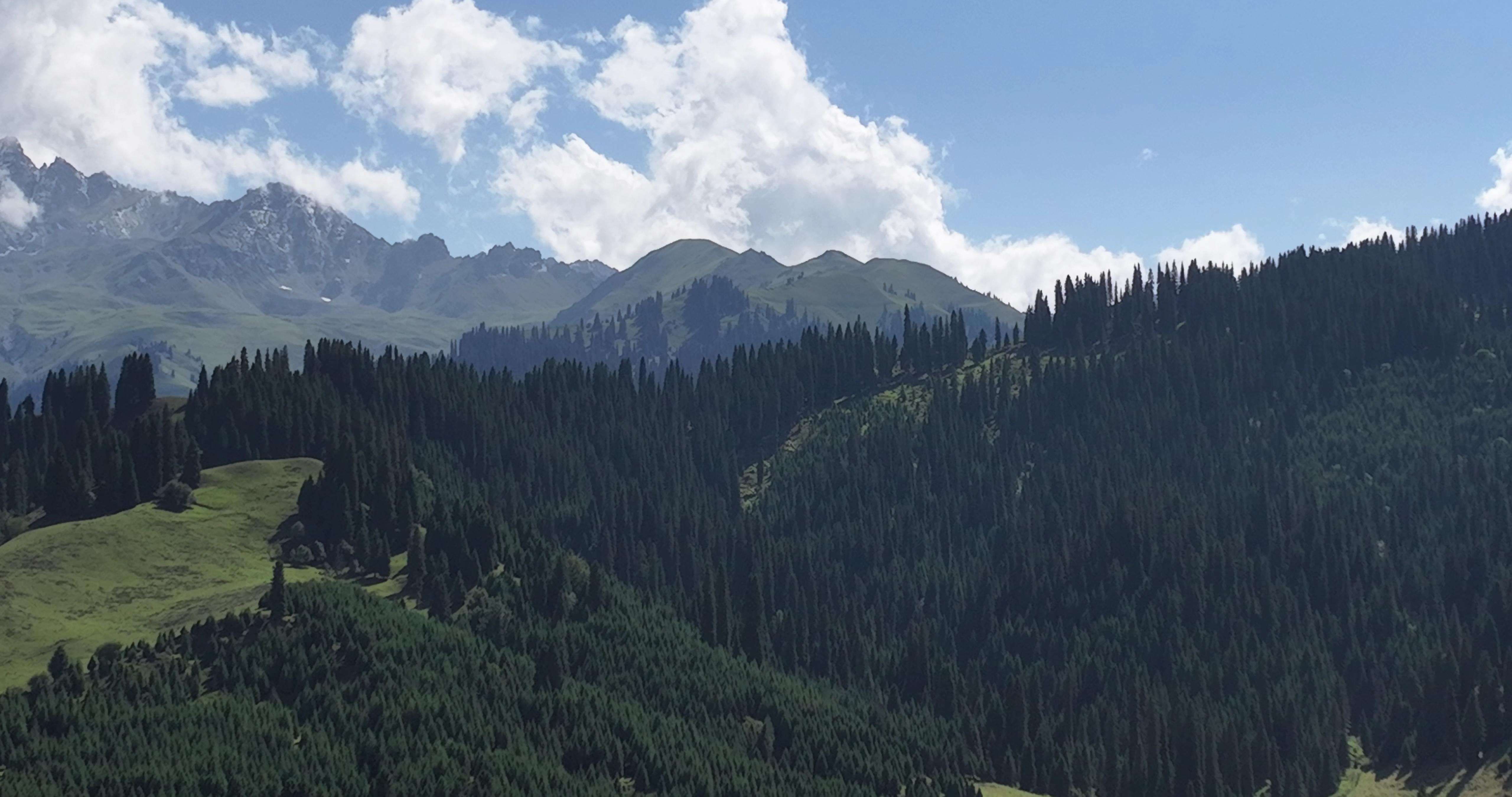 去喀什旅游組團報價_去喀什旅游組團報價多少