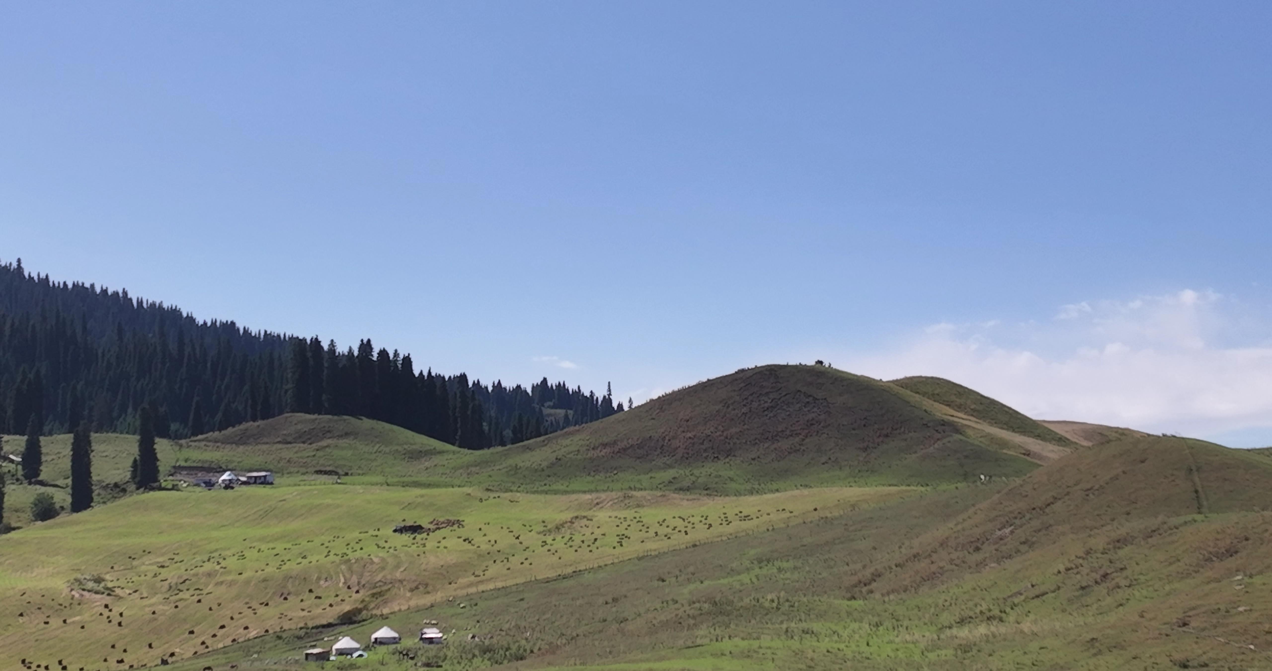 伊犁旅游跟團游價格_伊犁旅游跟團游價格一樣嗎