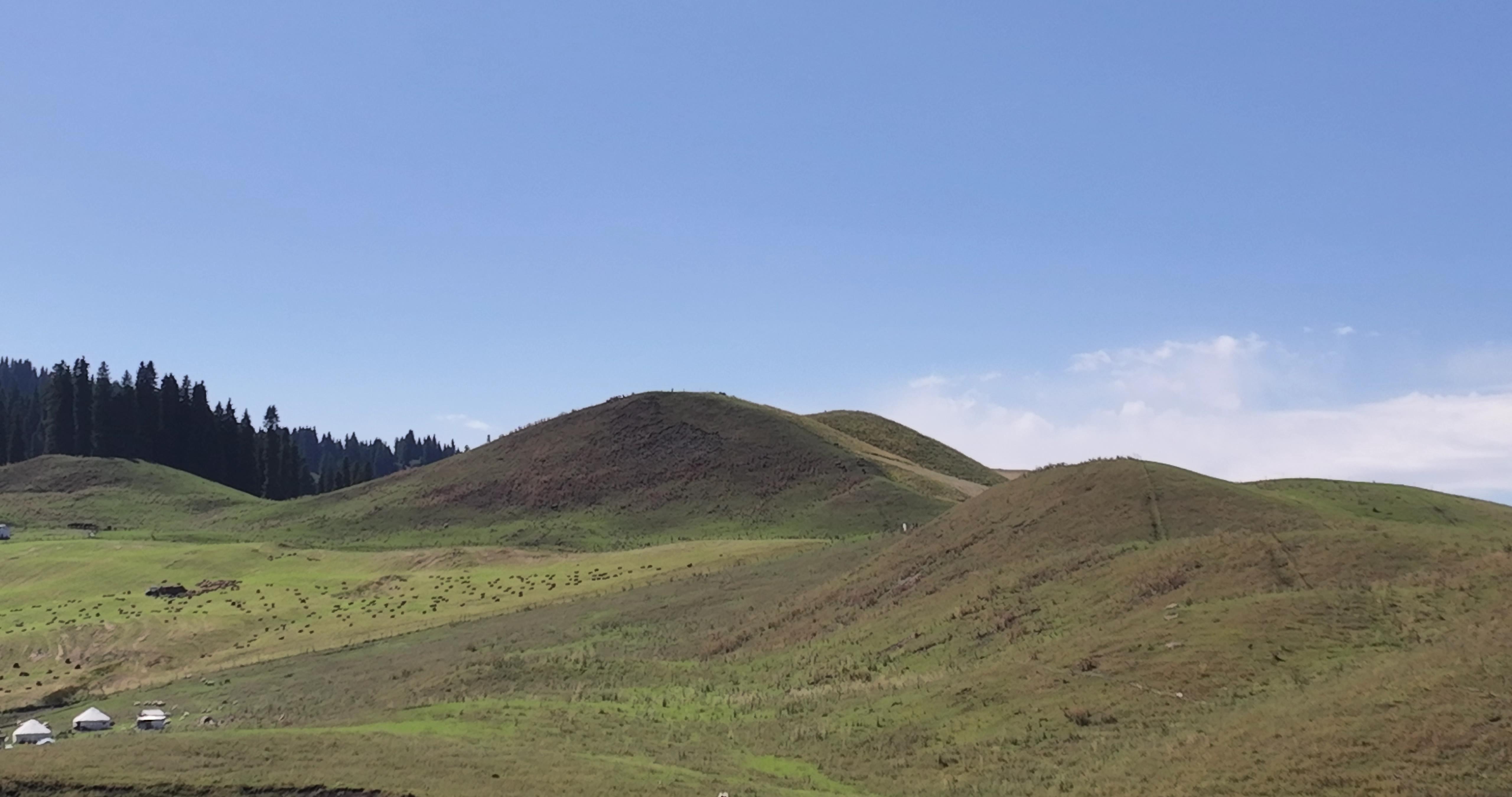 去新疆南疆旅行報團多少錢_報團旅游新疆多少錢