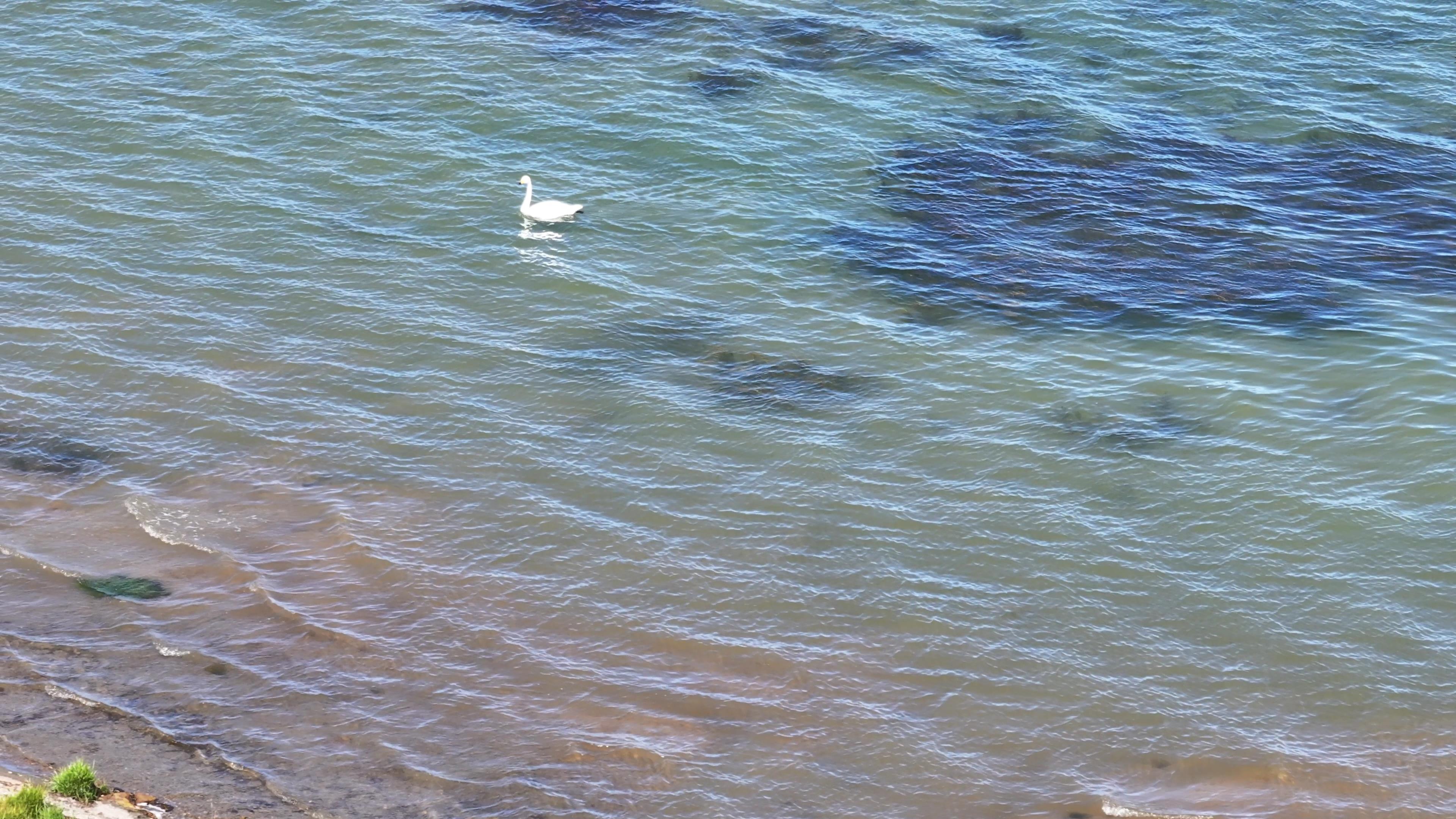 參團到賽里木湖旅游價格_賽里木湖跟團