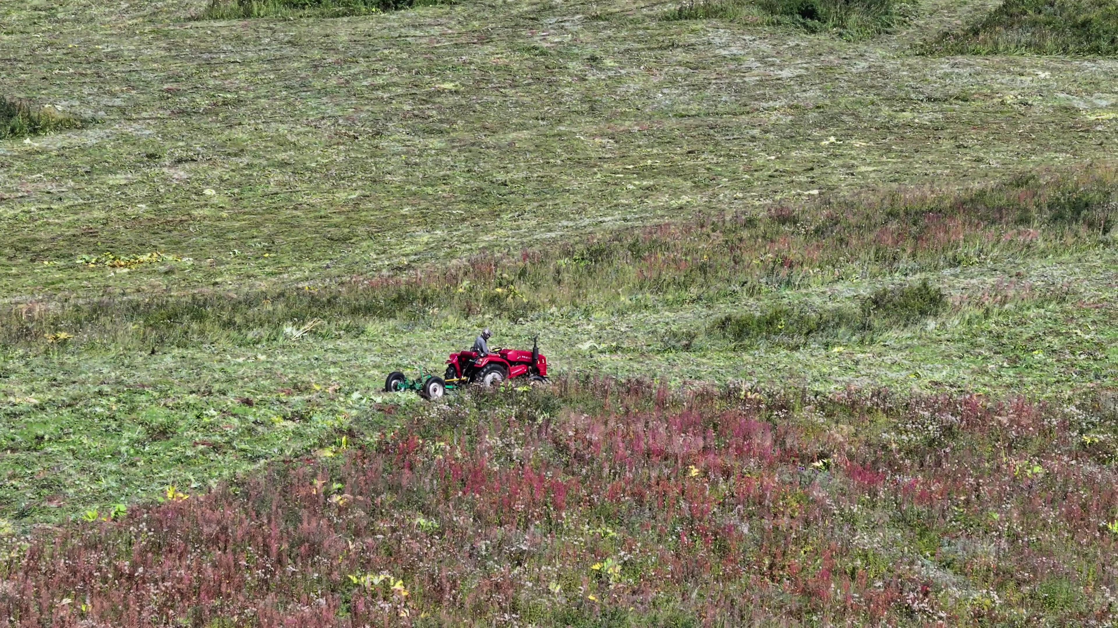 3月喀納斯組團旅游報價_喀納斯旅游團報價三日游