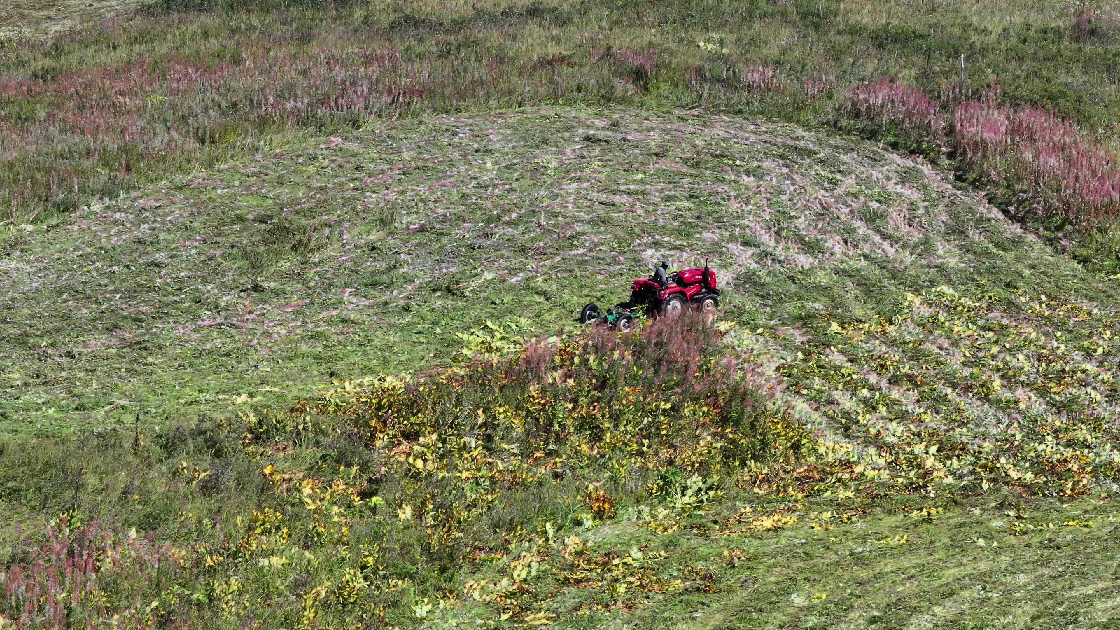 新疆南疆旅游團游價格_新疆南彊旅游