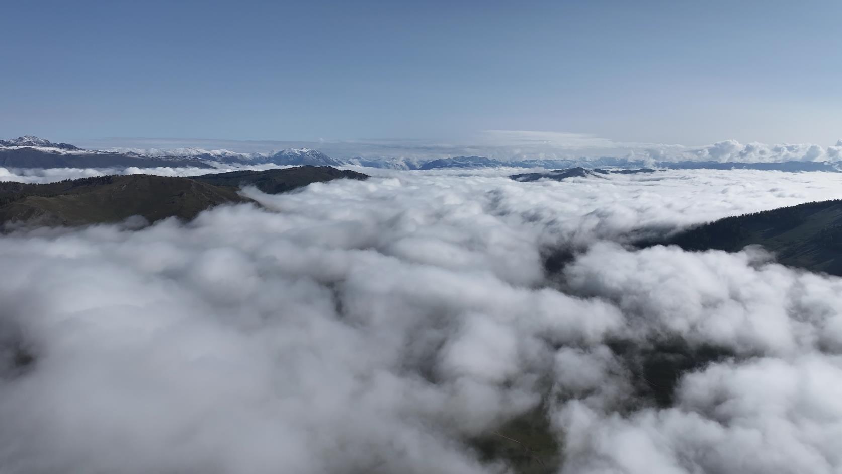 一個人去新疆旅游大概需要多少錢_一個人去新疆旅游大概需要多少錢呢