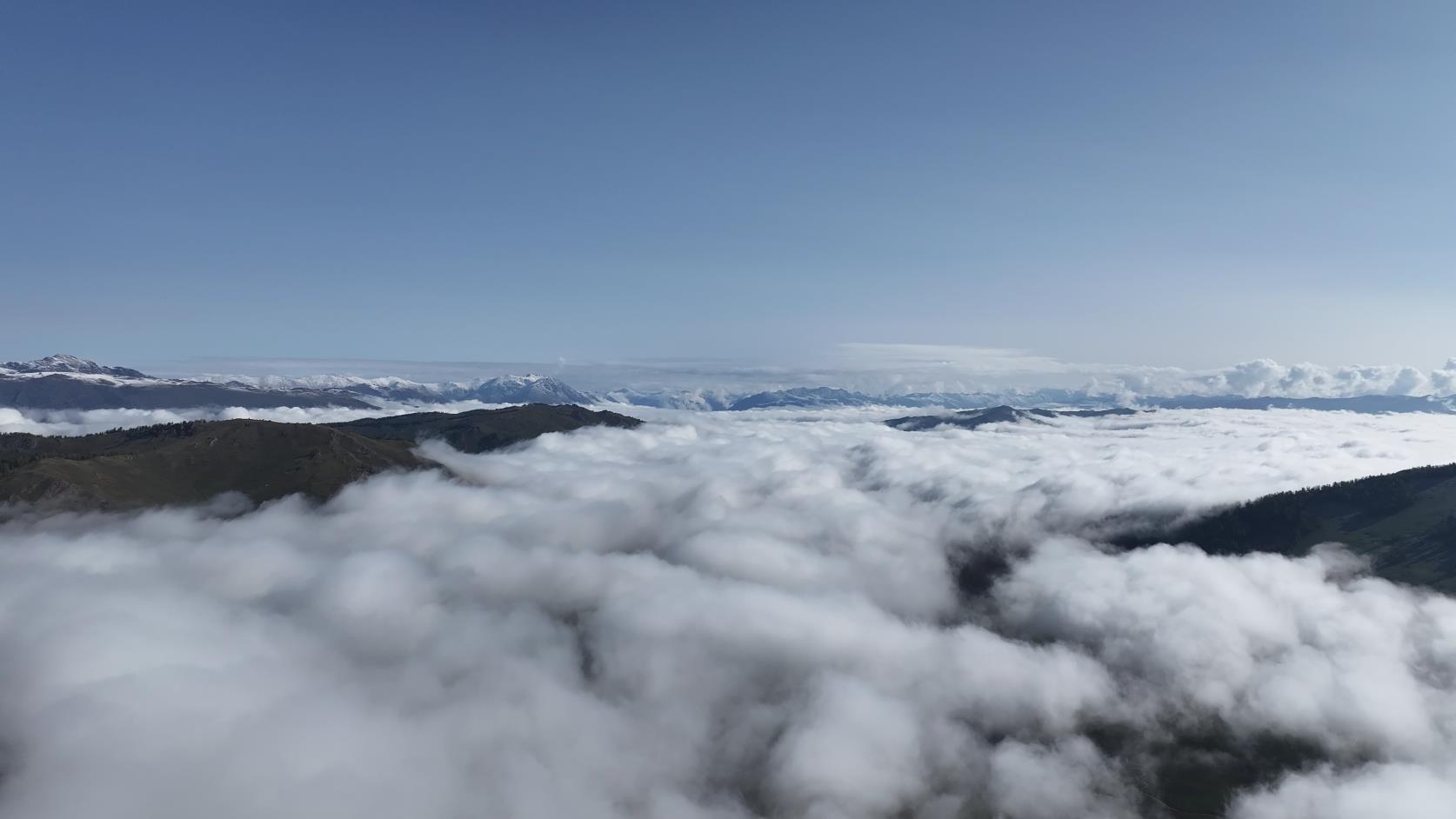 去喀納斯旅游包團多少錢_去喀納斯旅游包團多少錢一天