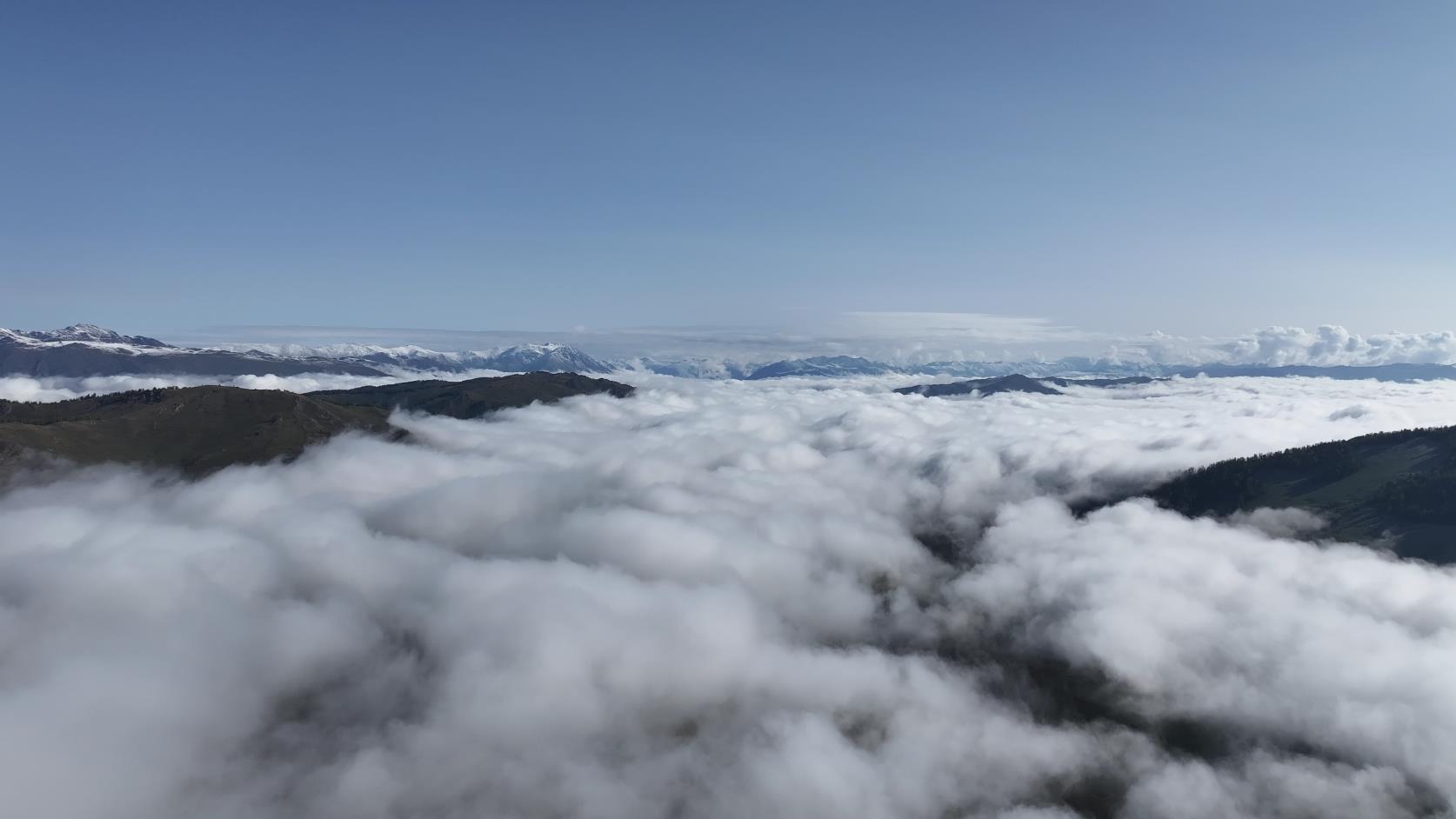 7月北疆旅游價格