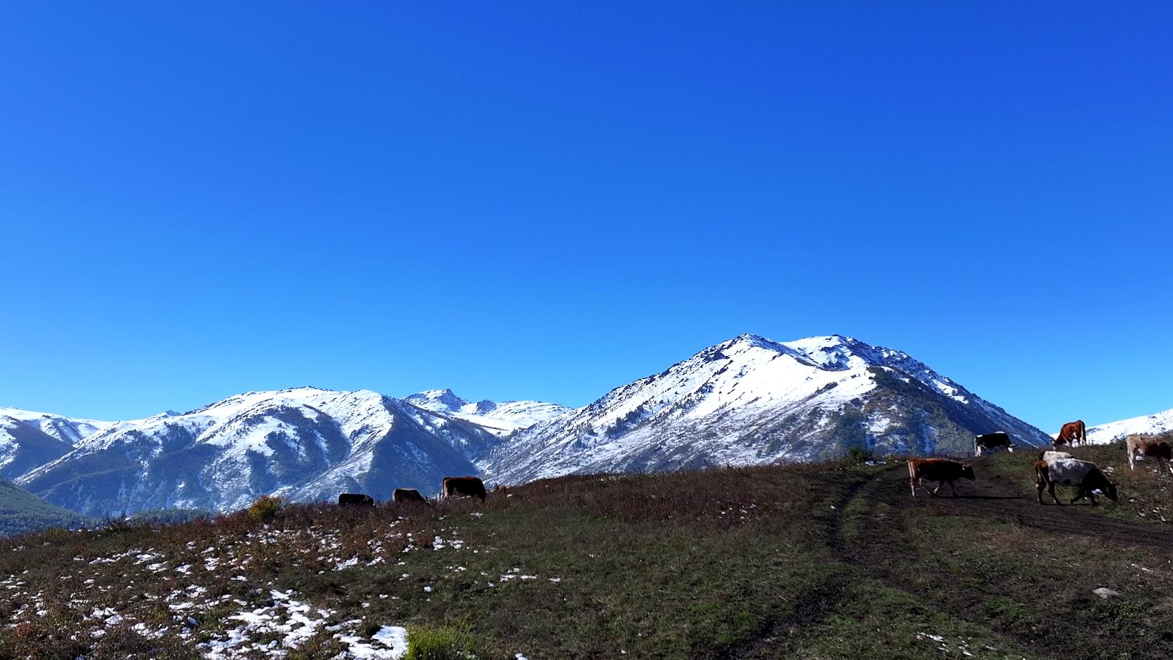 伊犁一月底旅游價格_伊犁一月底旅游價格多少