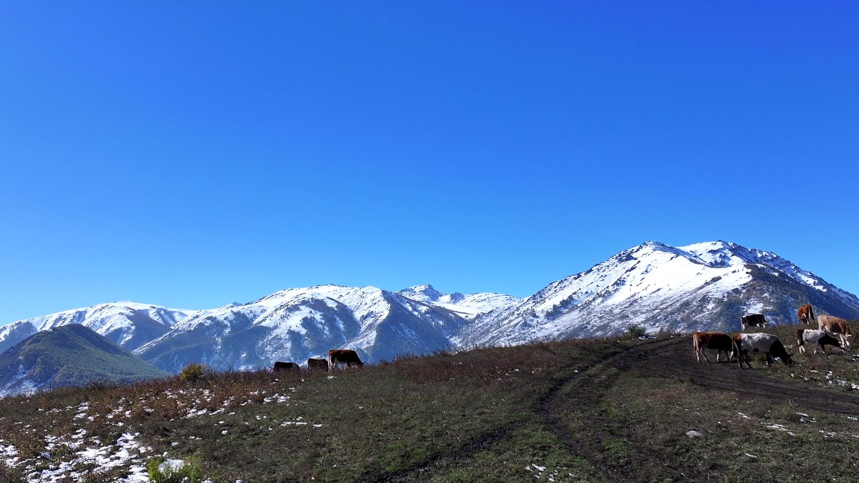 秋天的伊犁適合去哪些地方旅游_秋天的伊犁適合去哪些地方旅游呢