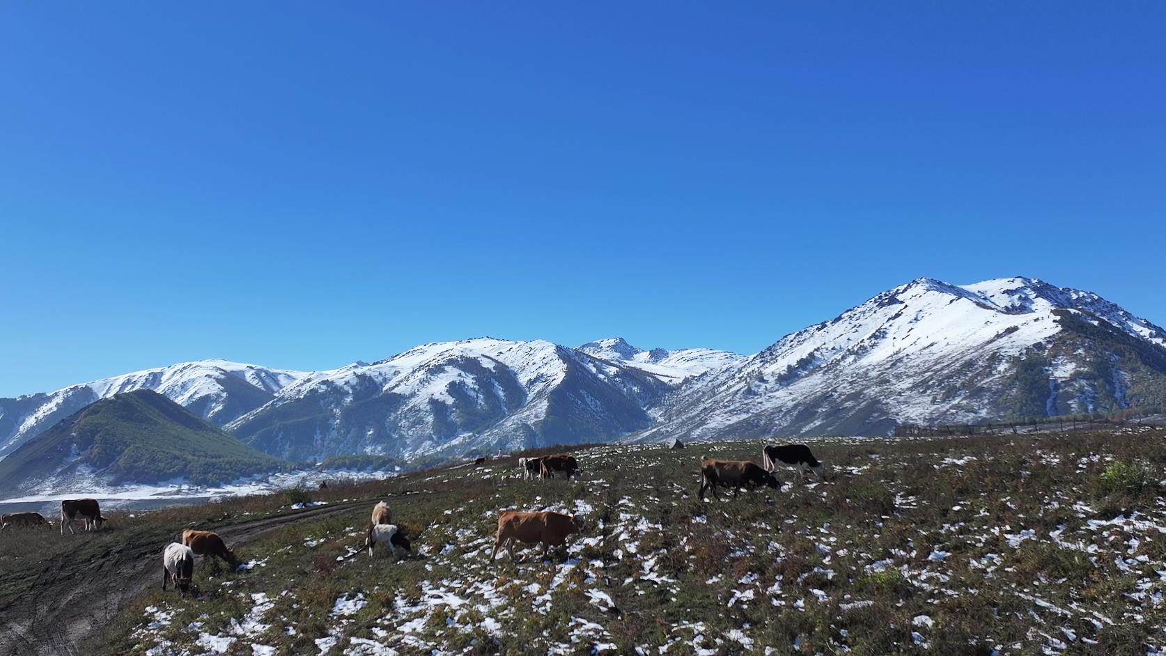 八月份那拉提旅游團價格_那拉提 旅游