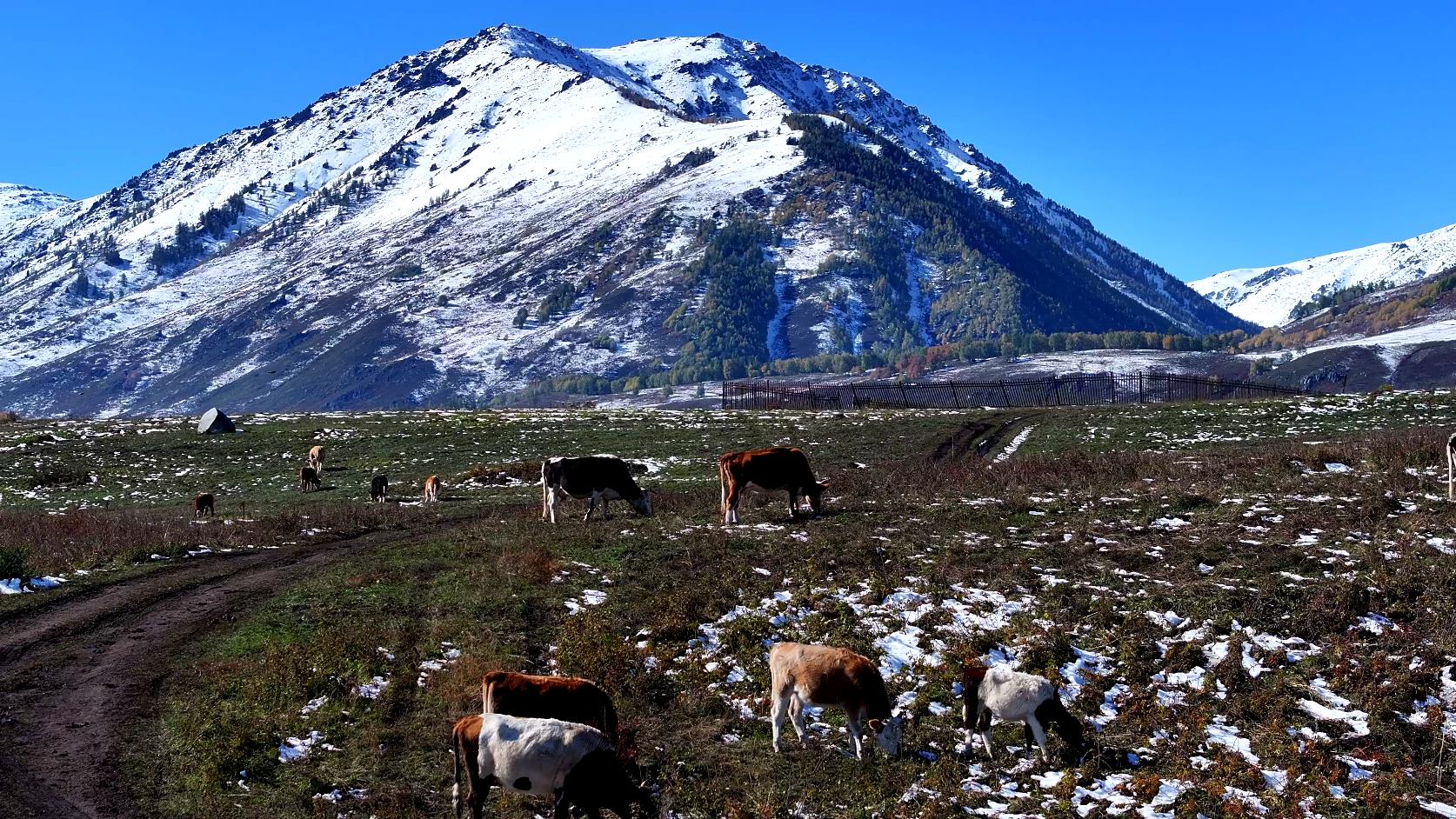 喀什旅游九月多少錢_喀什旅游九月多少錢一天