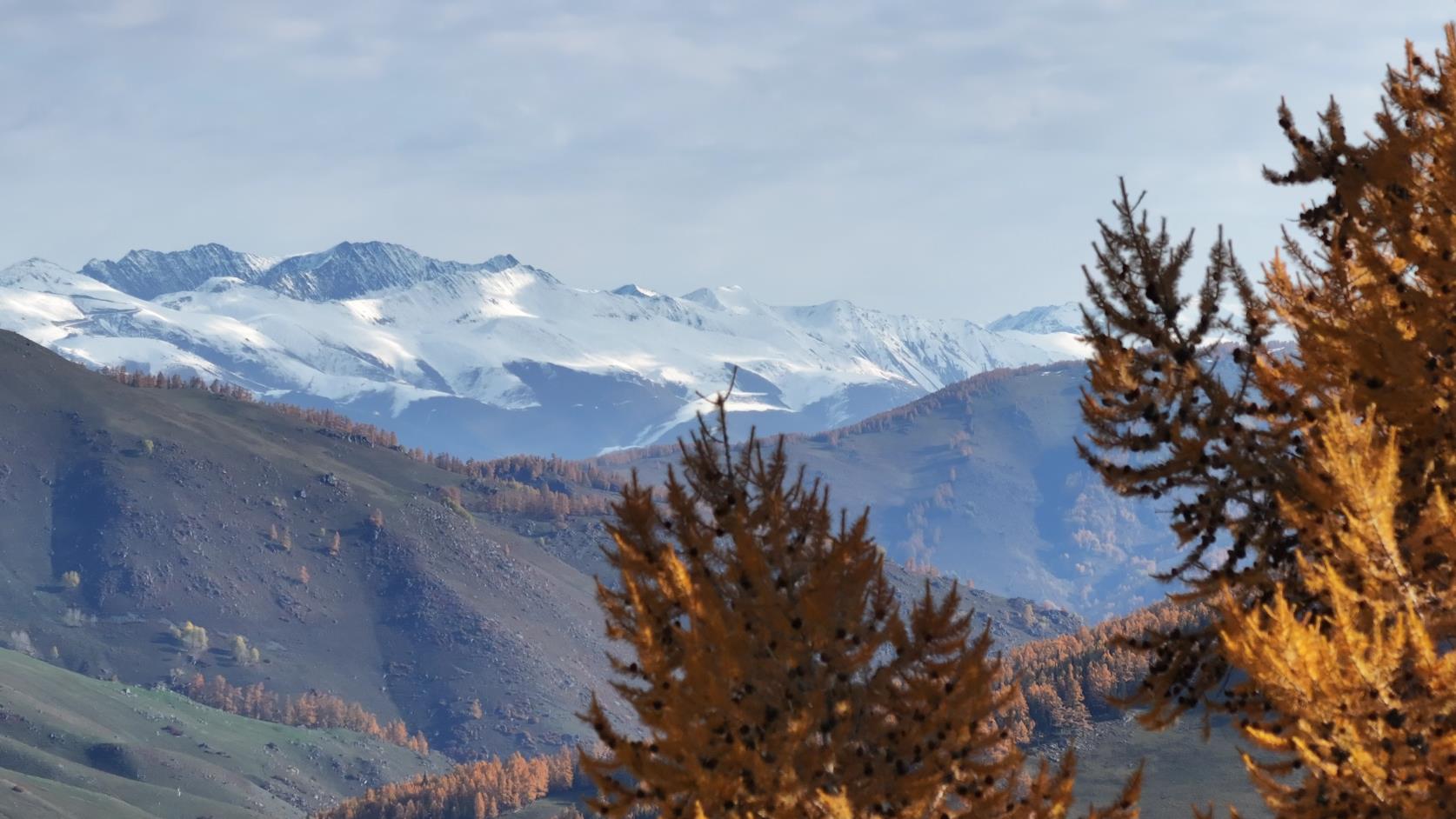 十二月伊犁旅游_十二月伊犁旅游好玩嗎