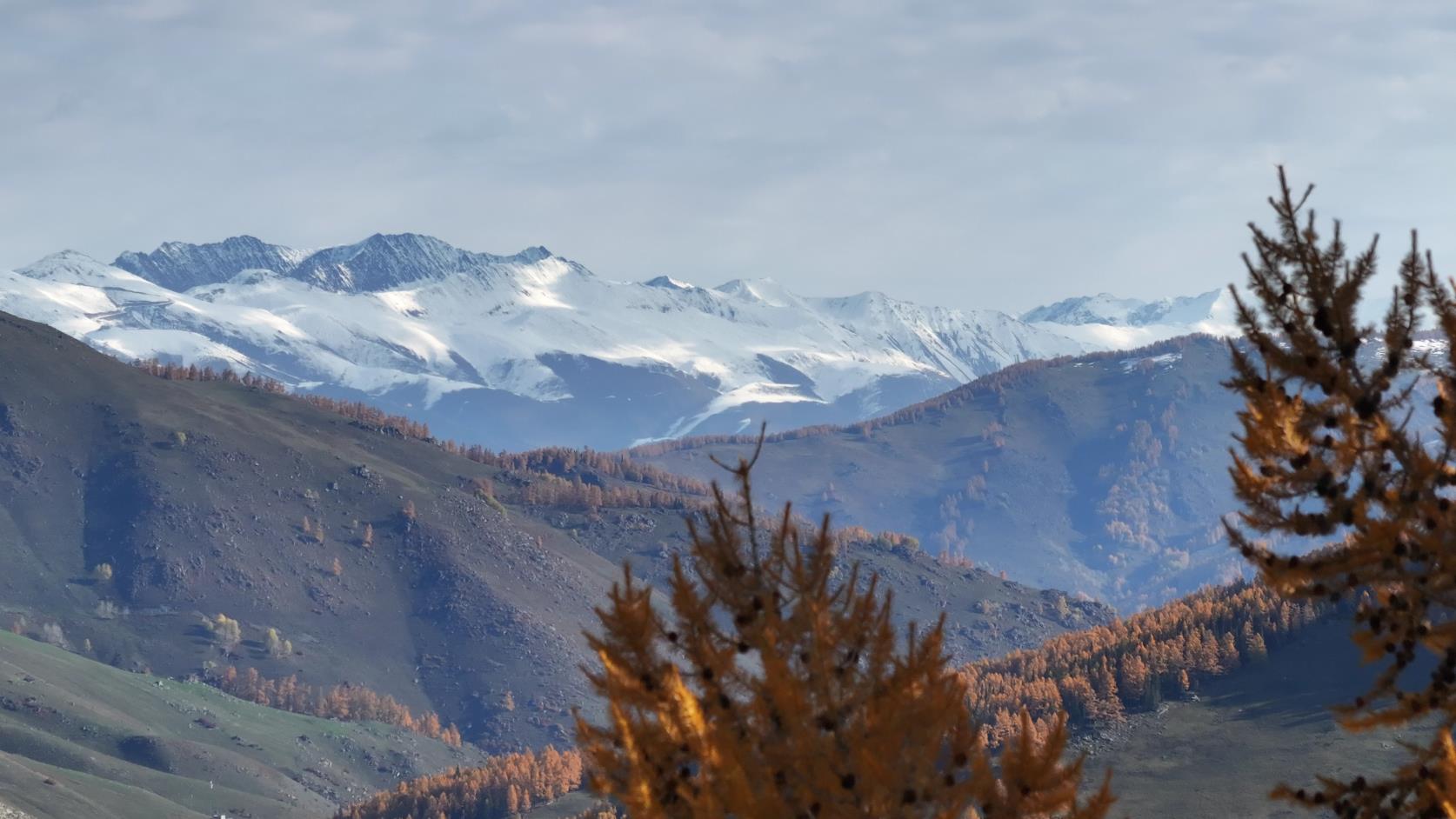 伊犁旅游的費用_伊犁旅游的費用是多少