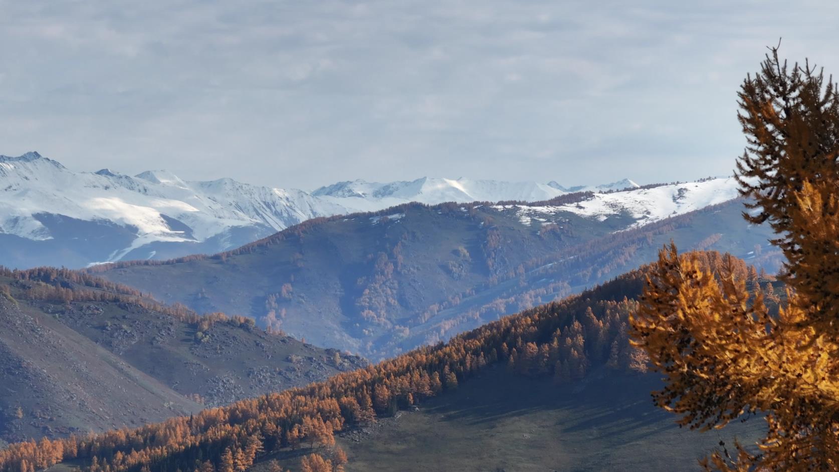 伊犁旅游五月份多少錢_伊犁旅游五月份多少錢一天