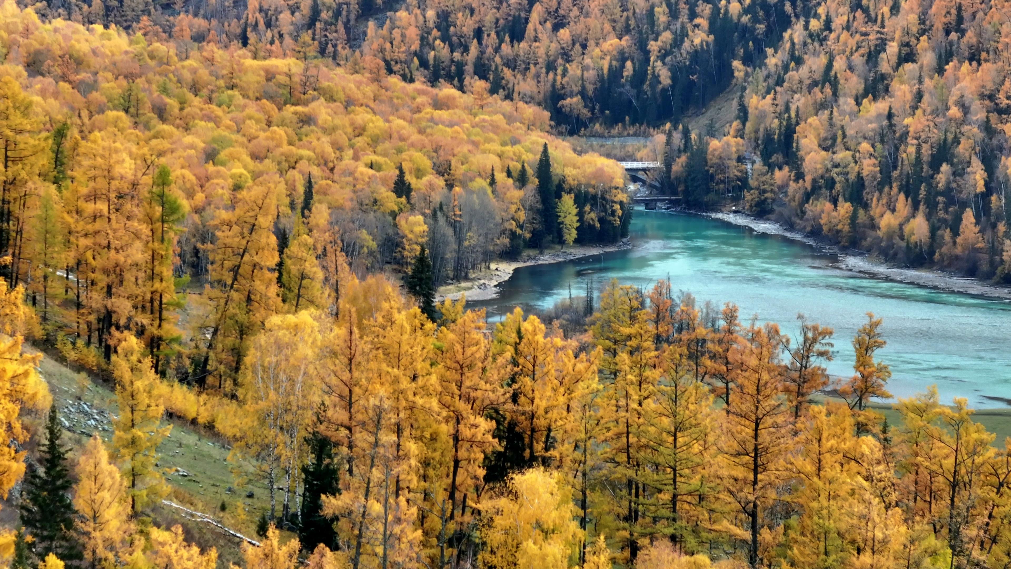 旅游團那拉提費用_旅游團那拉提費用多少